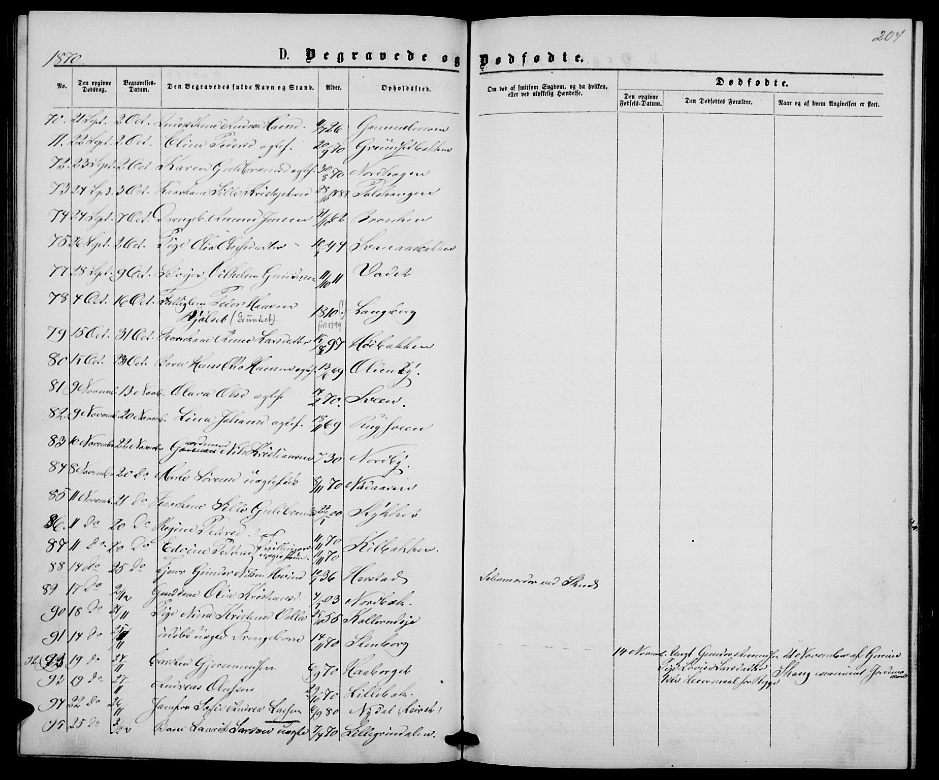 Elverum prestekontor, AV/SAH-PREST-044/H/Ha/Hab/L0004: Parish register (copy) no. 4, 1866-1874, p. 204