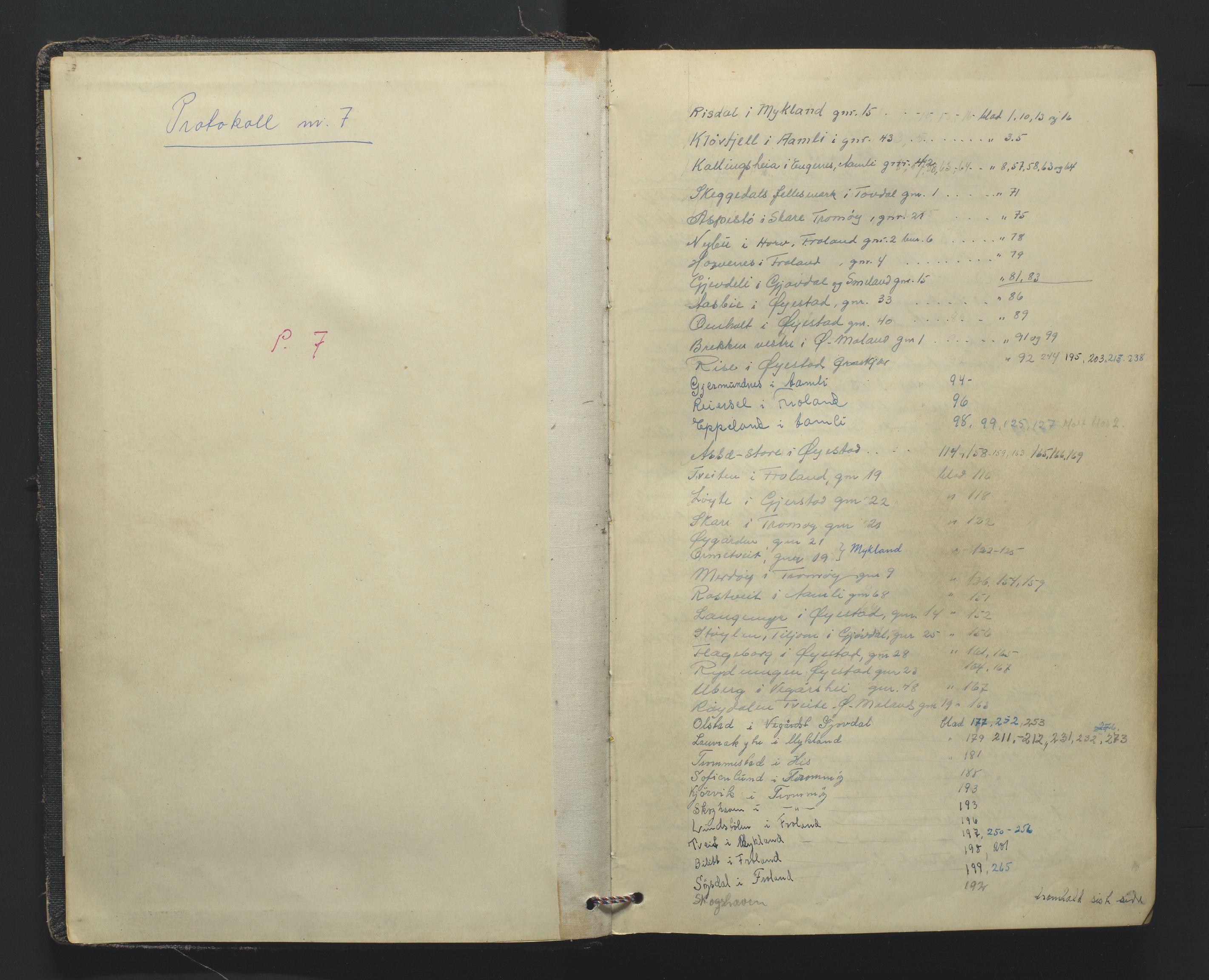 Utskiftningsformannen i Nedenes amt, AV/SAK-1541-0002/F/Fa/Fab/L0001: Jordskifteprotokoll med gårdsregister, Holt og Nedenes domssokn nr 7, 1928-1954