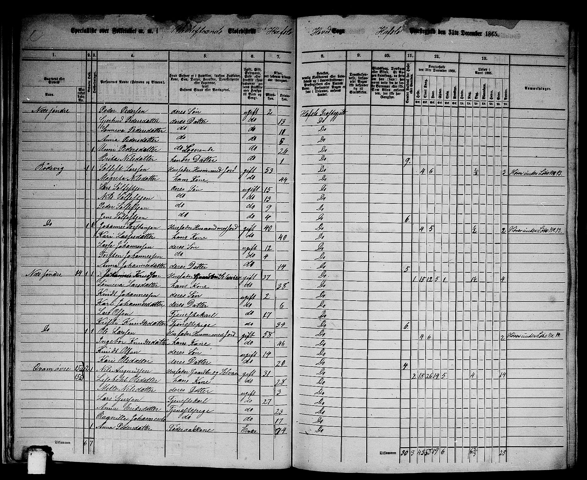 RA, 1865 census for Hafslo, 1865, p. 18