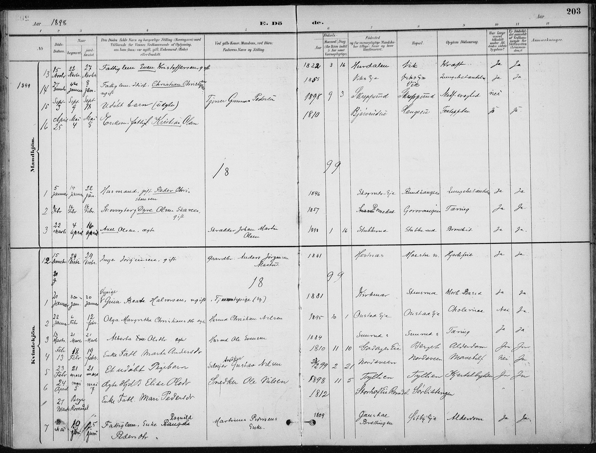 Stange prestekontor, SAH/PREST-002/K/L0023: Parish register (official) no. 23, 1897-1920, p. 203