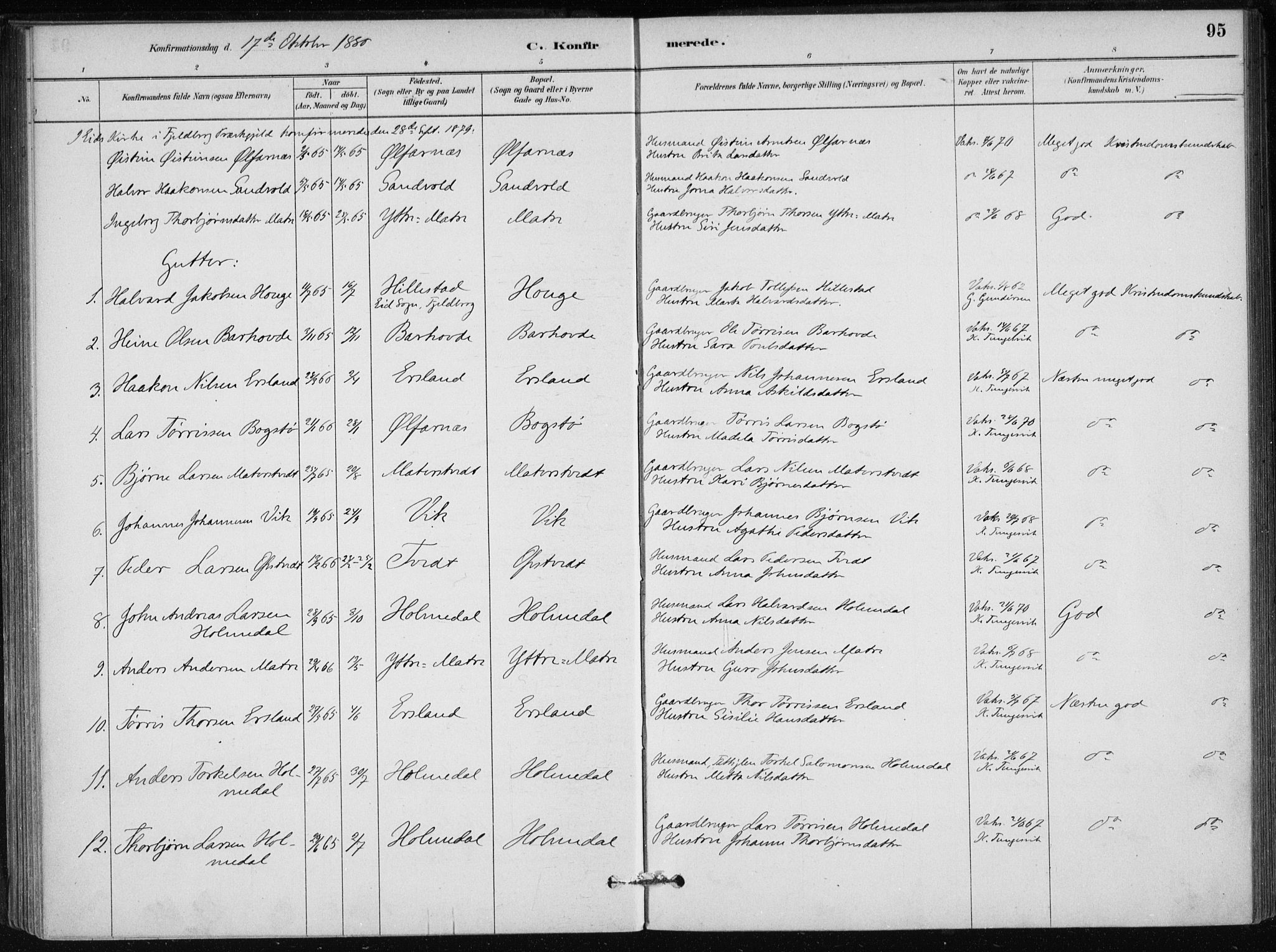 Skånevik sokneprestembete, AV/SAB-A-77801/H/Haa: Parish register (official) no. C  1, 1879-1917, p. 95