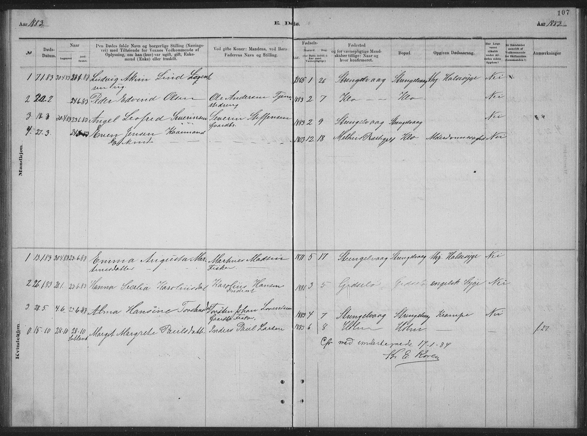 Ministerialprotokoller, klokkerbøker og fødselsregistre - Nordland, SAT/A-1459/894/L1359: Parish register (copy) no. 894C02, 1877-1884, p. 107