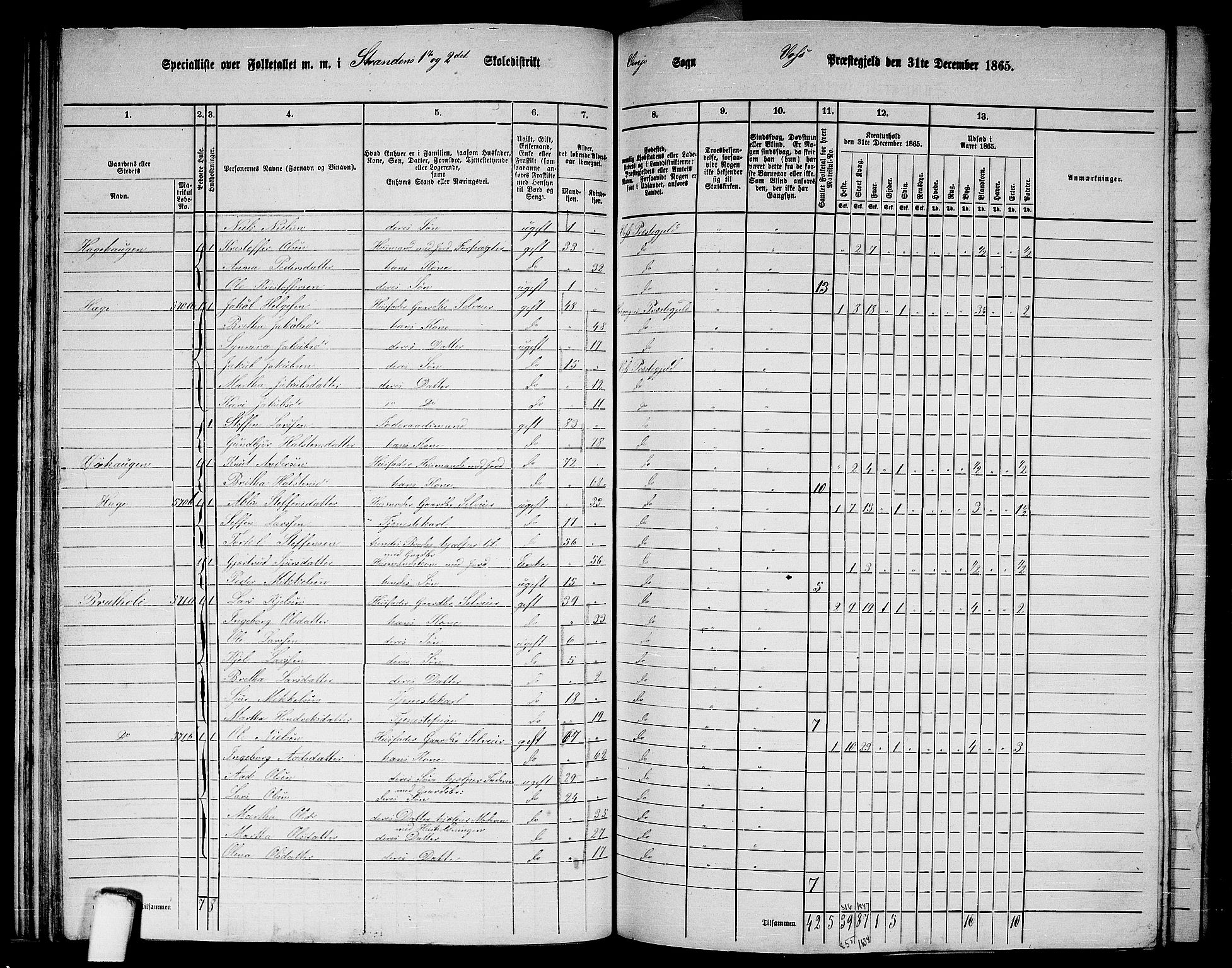 RA, 1865 census for Voss, 1865, p. 308