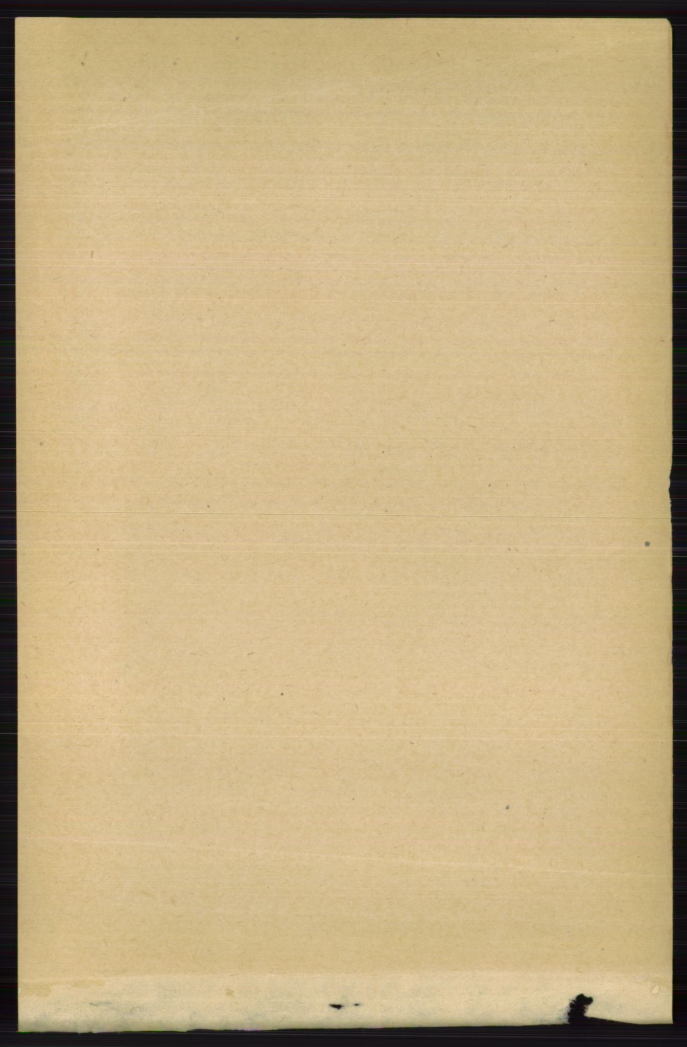 RA, 1891 census for 0717 Borre, 1891, p. 137