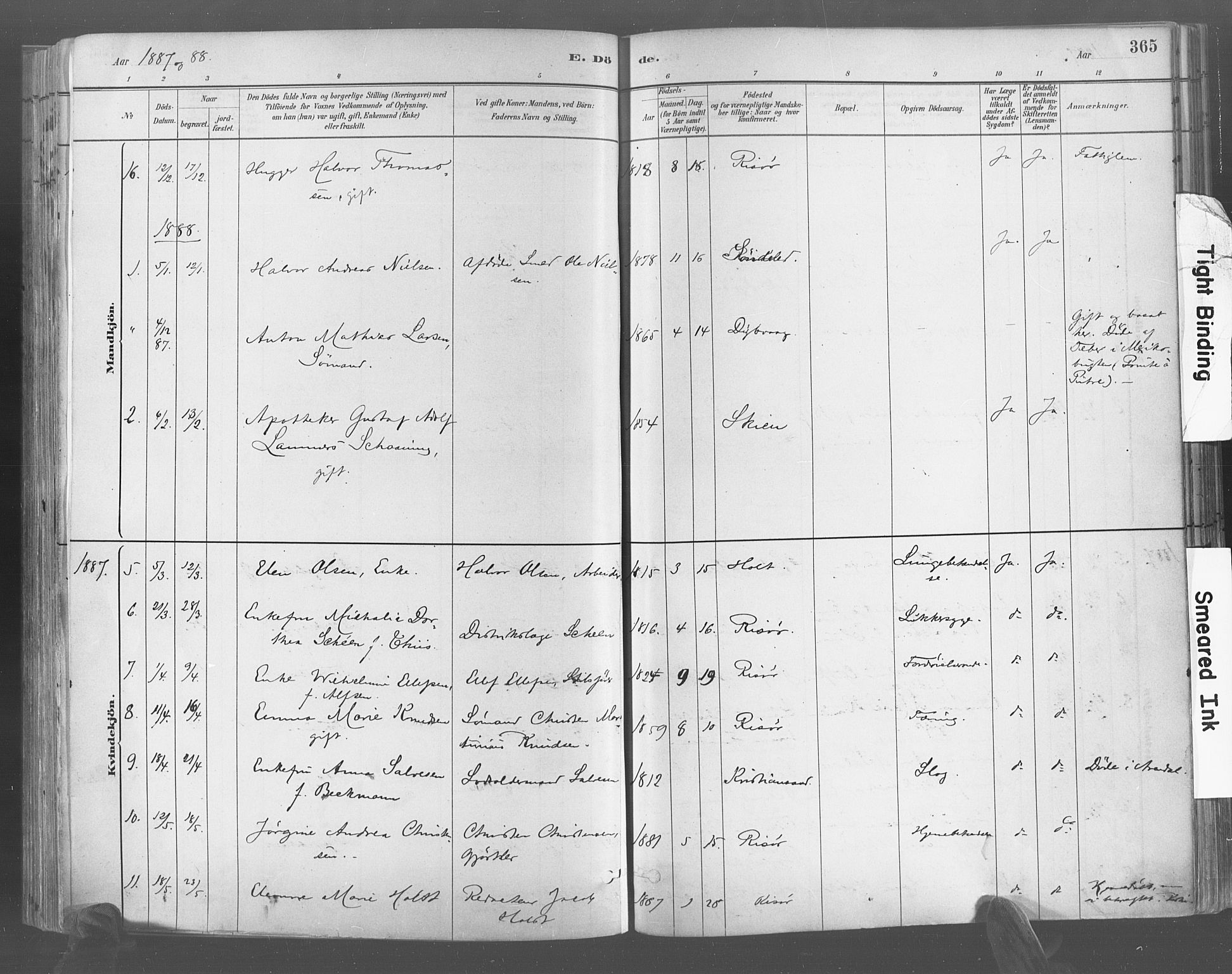 Risør sokneprestkontor, AV/SAK-1111-0035/F/Fa/L0005: Parish register (official) no. A 5, 1883-1895, p. 365