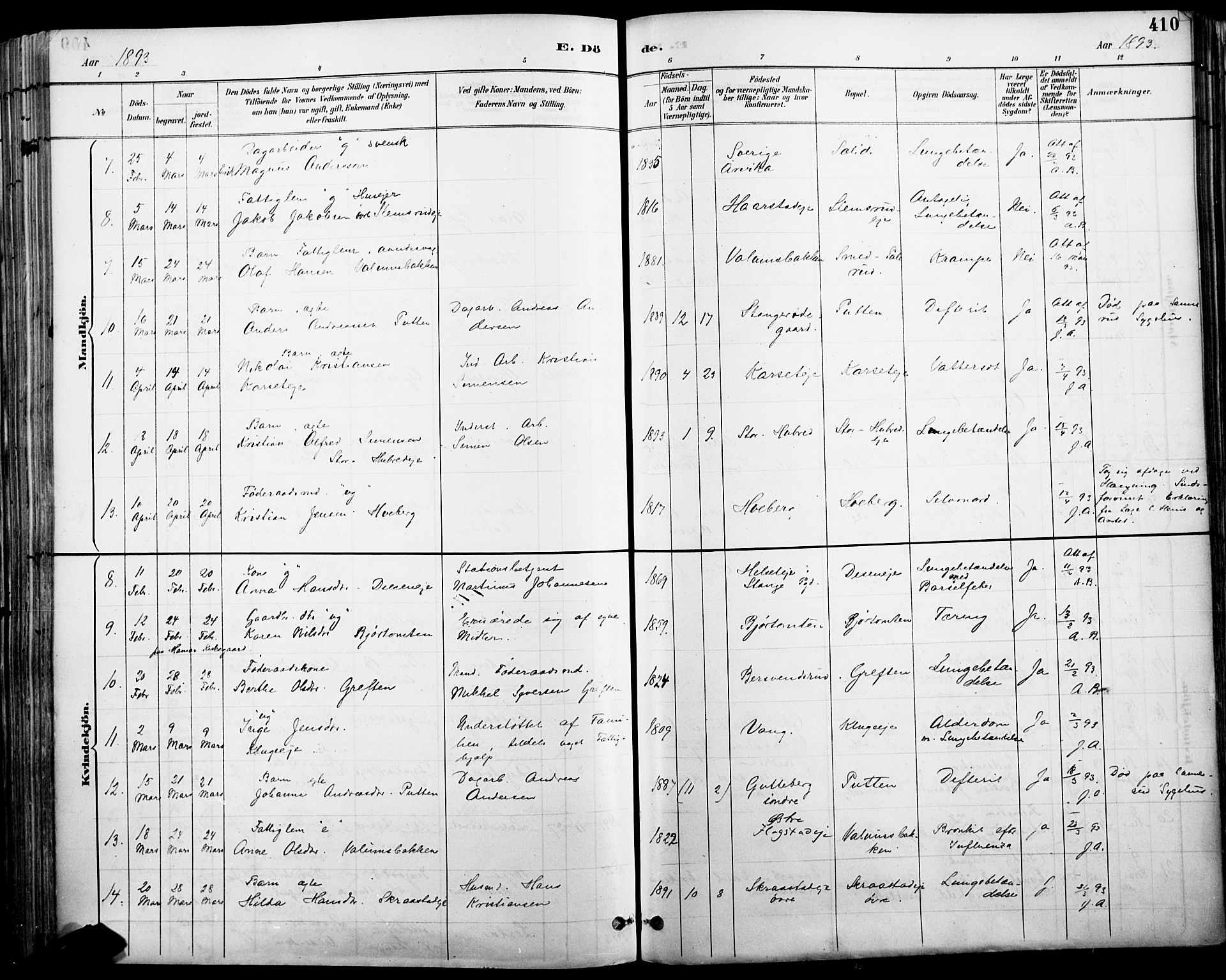 Vang prestekontor, Hedmark, AV/SAH-PREST-008/H/Ha/Haa/L0019A: Parish register (official) no. 19, 1886-1900, p. 410