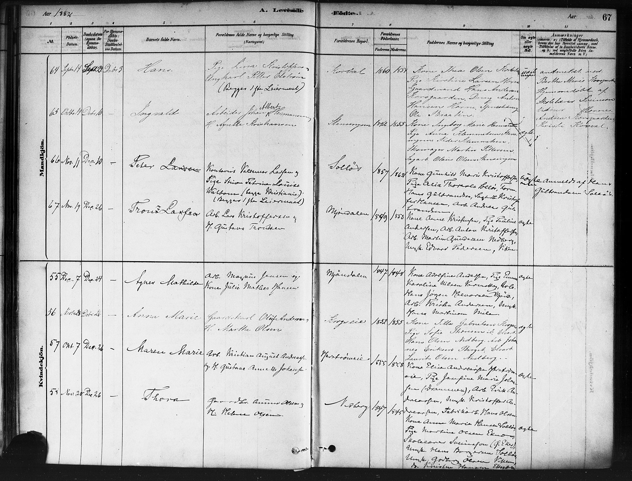 Nedre Eiker kirkebøker, AV/SAKO-A-612/F/Fa/L0002: Parish register (official) no. 2, 1878-1885, p. 67