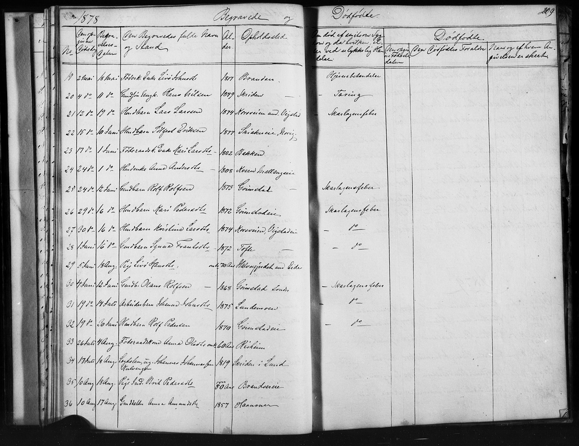 Skjåk prestekontor, SAH/PREST-072/H/Ha/Hab/L0001: Parish register (copy) no. 1, 1865-1893, p. 209