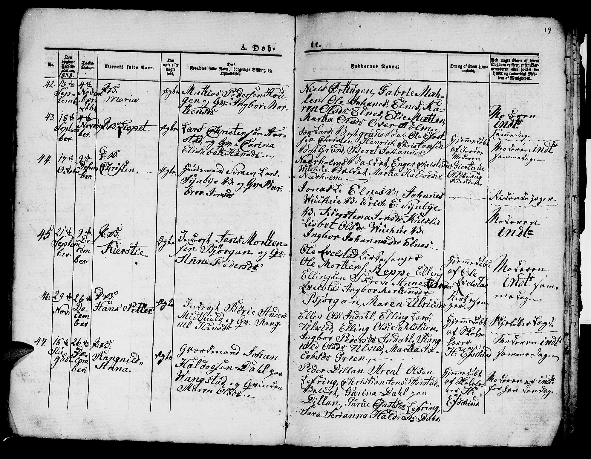 Ministerialprotokoller, klokkerbøker og fødselsregistre - Nord-Trøndelag, AV/SAT-A-1458/724/L0266: Parish register (copy) no. 724C02, 1836-1843, p. 19