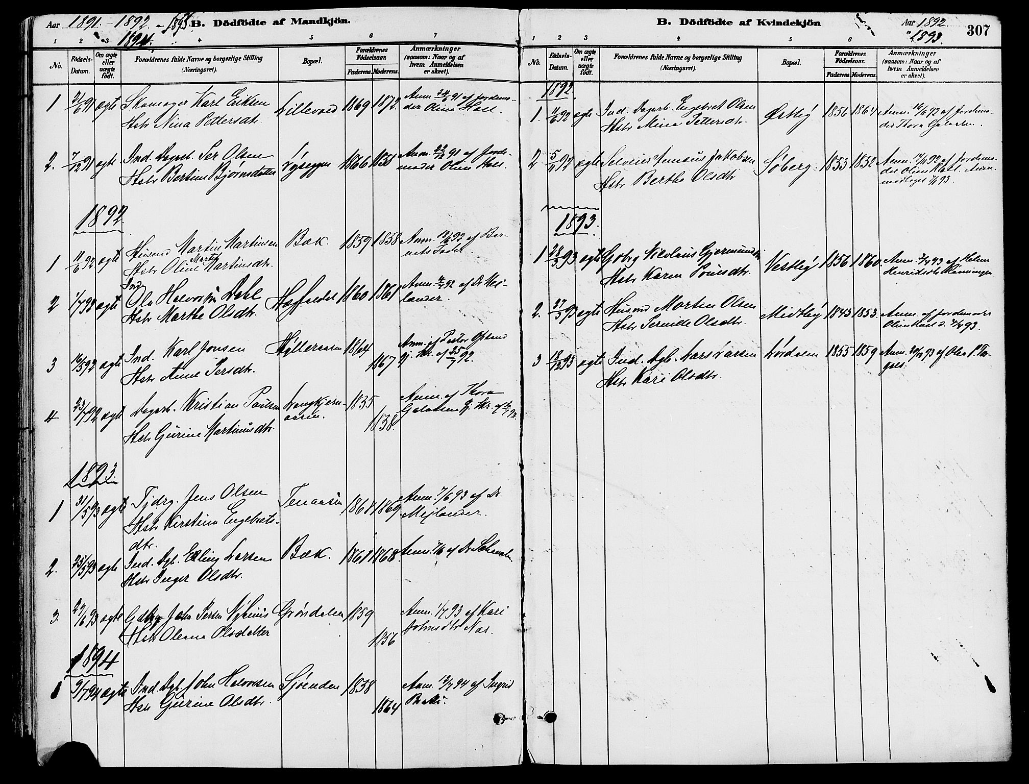 Trysil prestekontor, SAH/PREST-046/H/Ha/Haa/L0008: Parish register (official) no. 8, 1881-1897, p. 307
