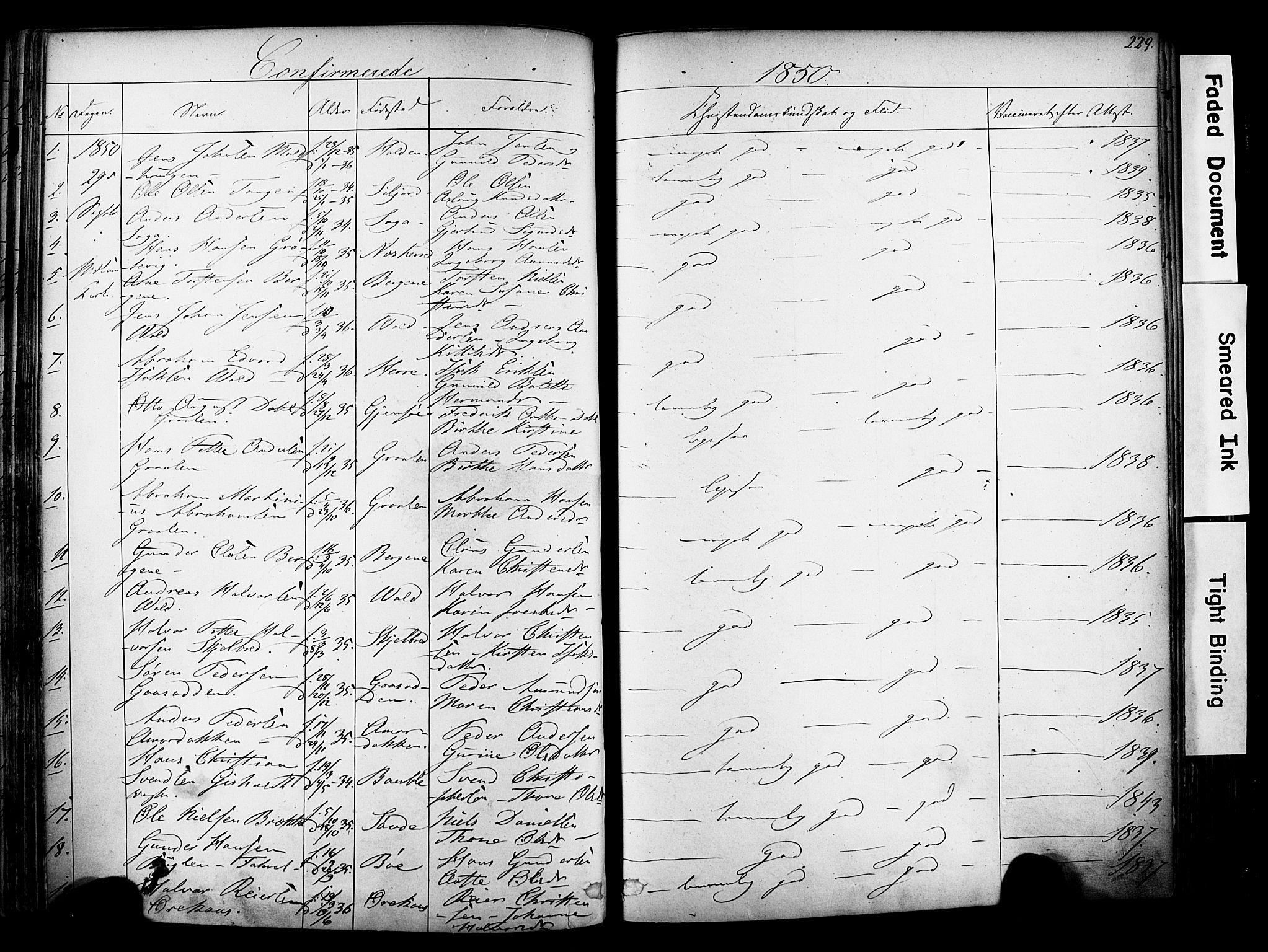 Solum kirkebøker, AV/SAKO-A-306/F/Fa/L0006: Parish register (official) no. I 6, 1844-1855, p. 229