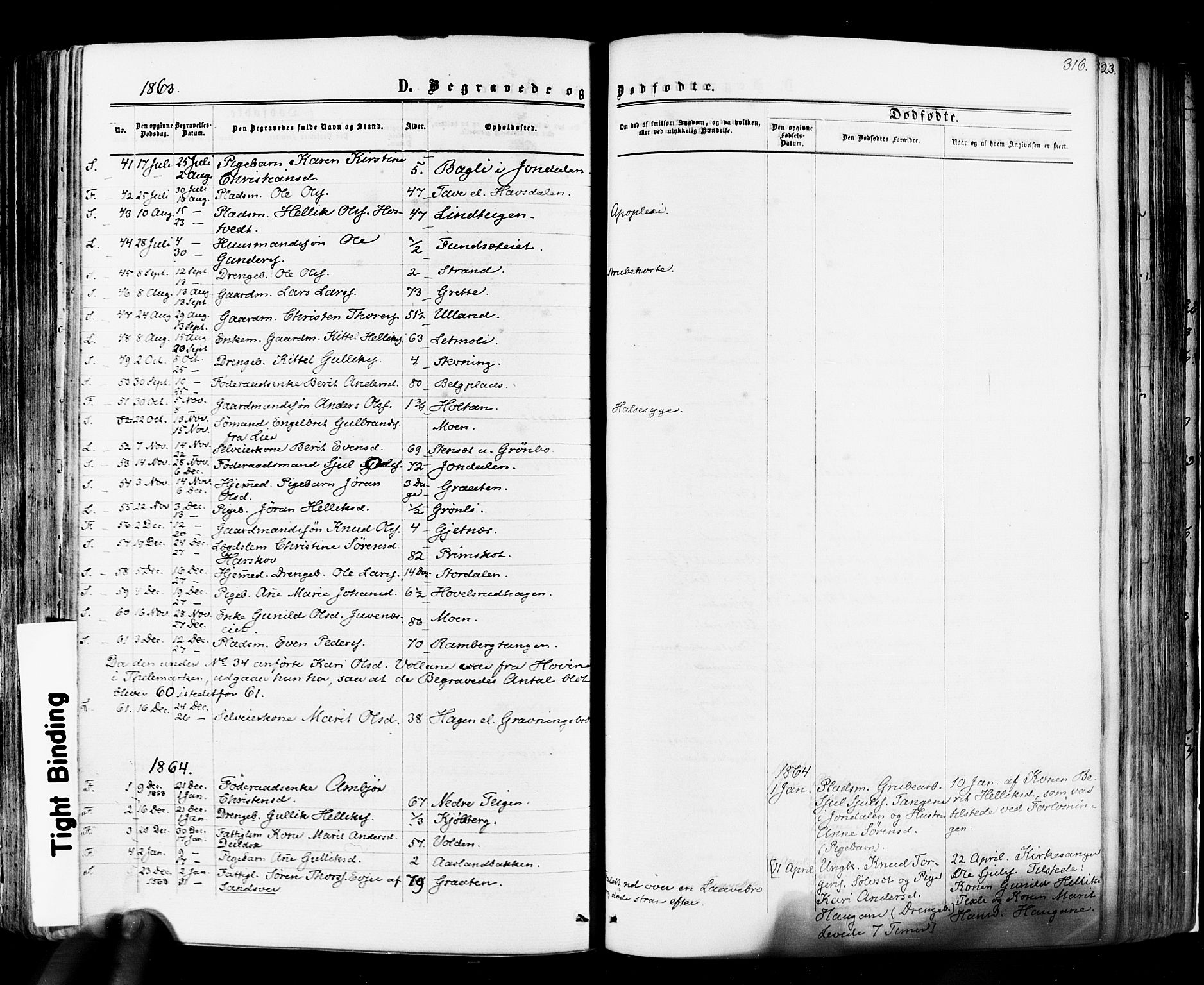 Flesberg kirkebøker, AV/SAKO-A-18/F/Fa/L0007: Parish register (official) no. I 7, 1861-1878, p. 316