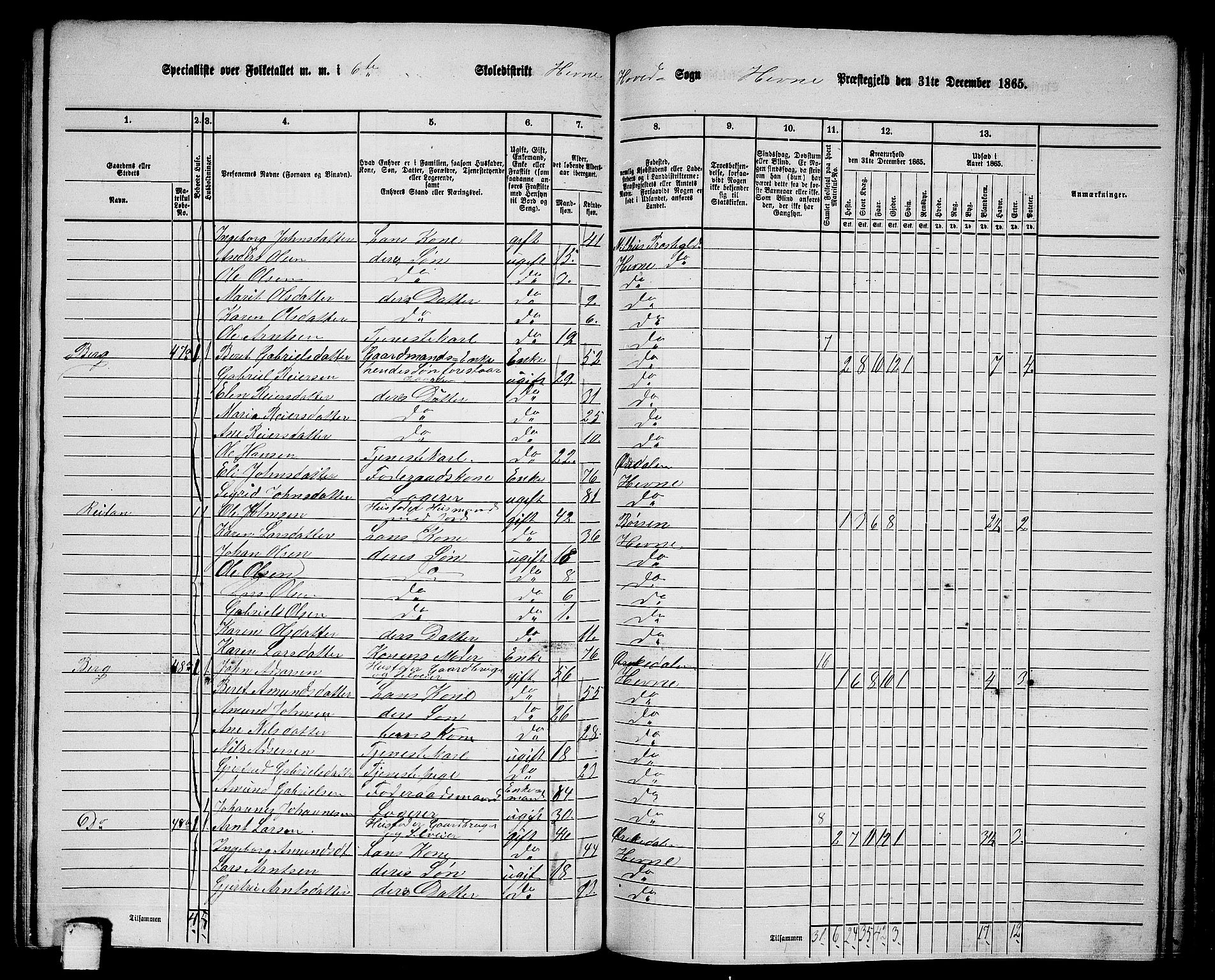 RA, 1865 census for Hemne, 1865, p. 132