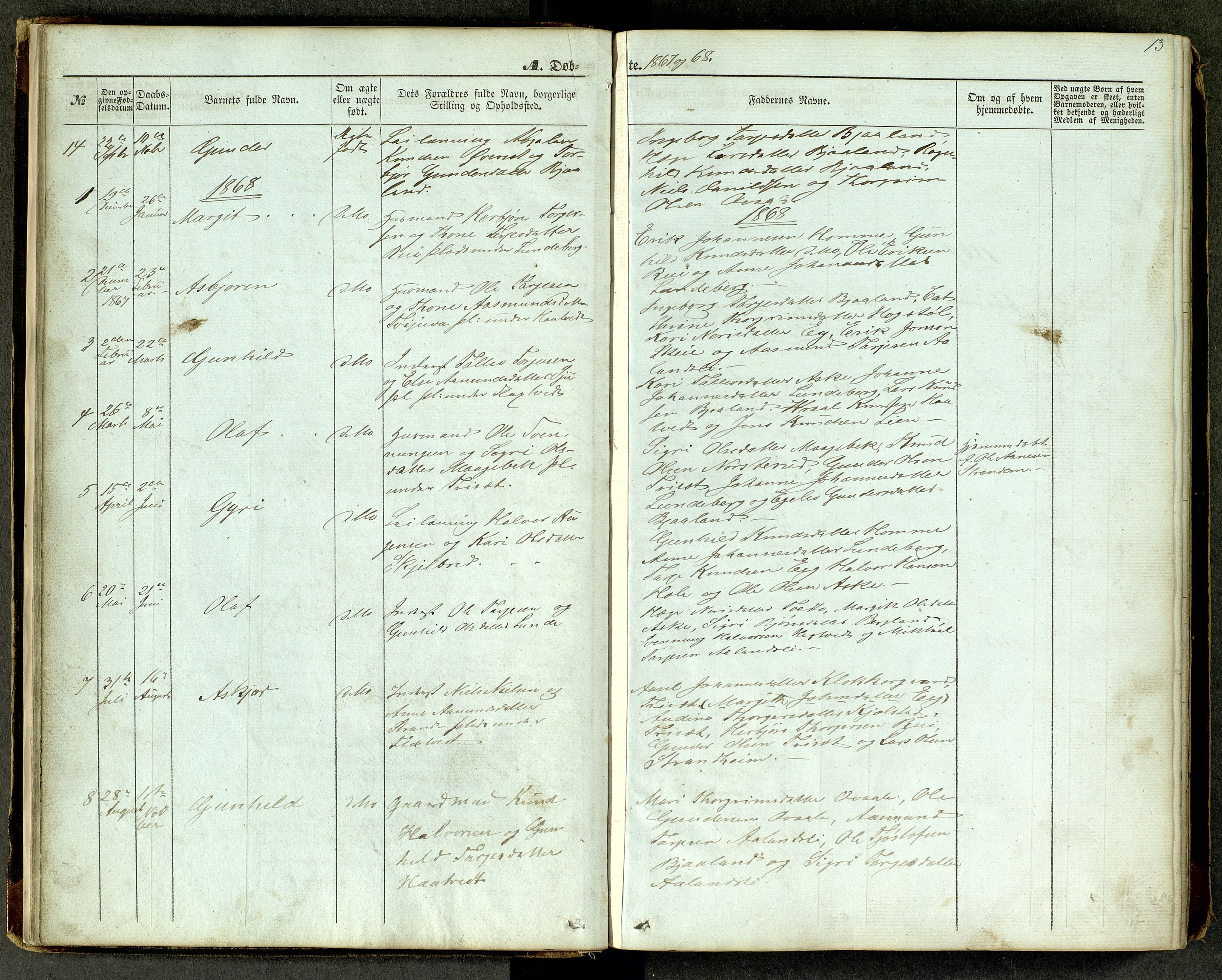 Lårdal kirkebøker, SAKO/A-284/G/Ga/L0002: Parish register (copy) no. I 2, 1861-1890, p. 13