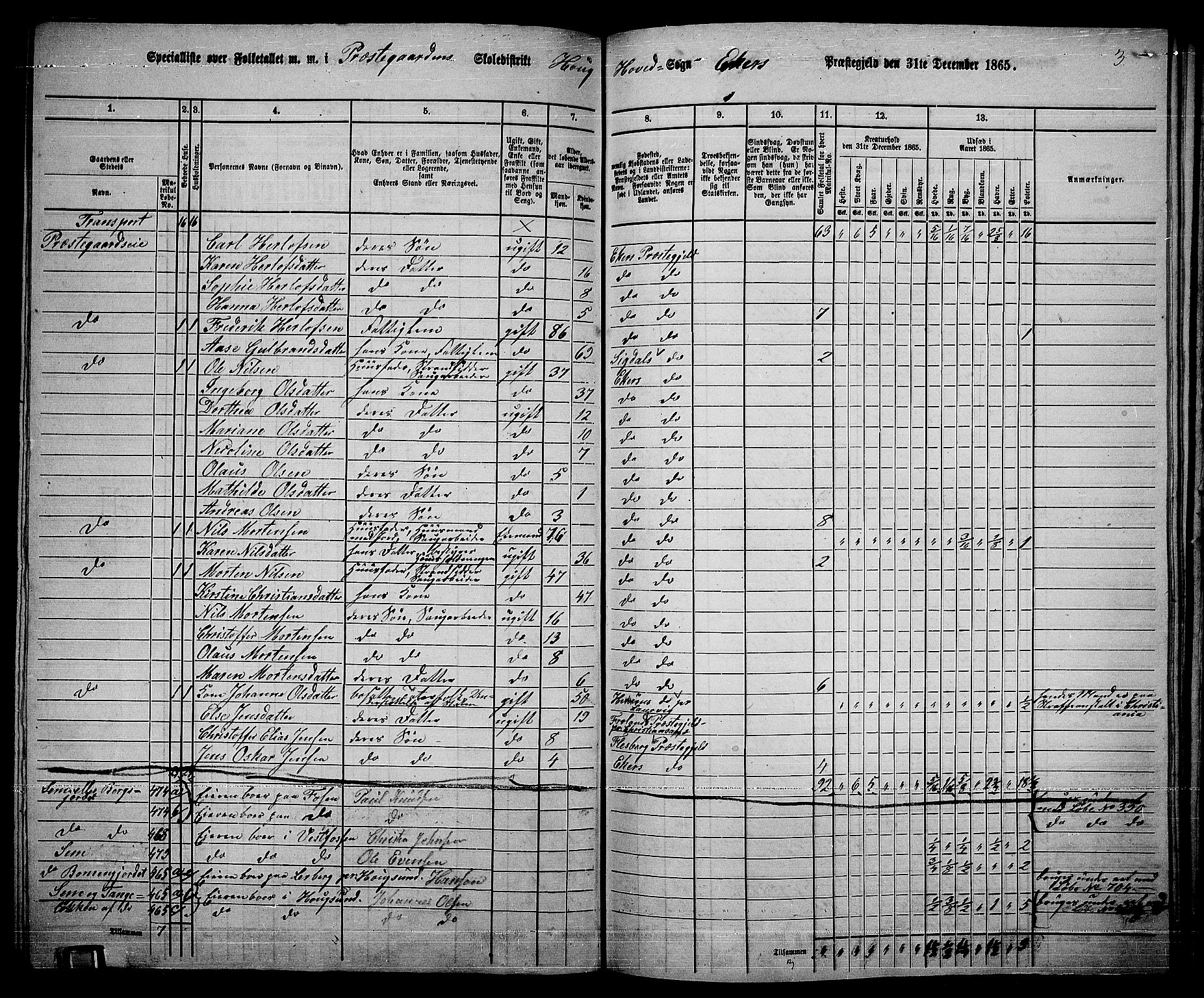 RA, 1865 census for Eiker, 1865, p. 188