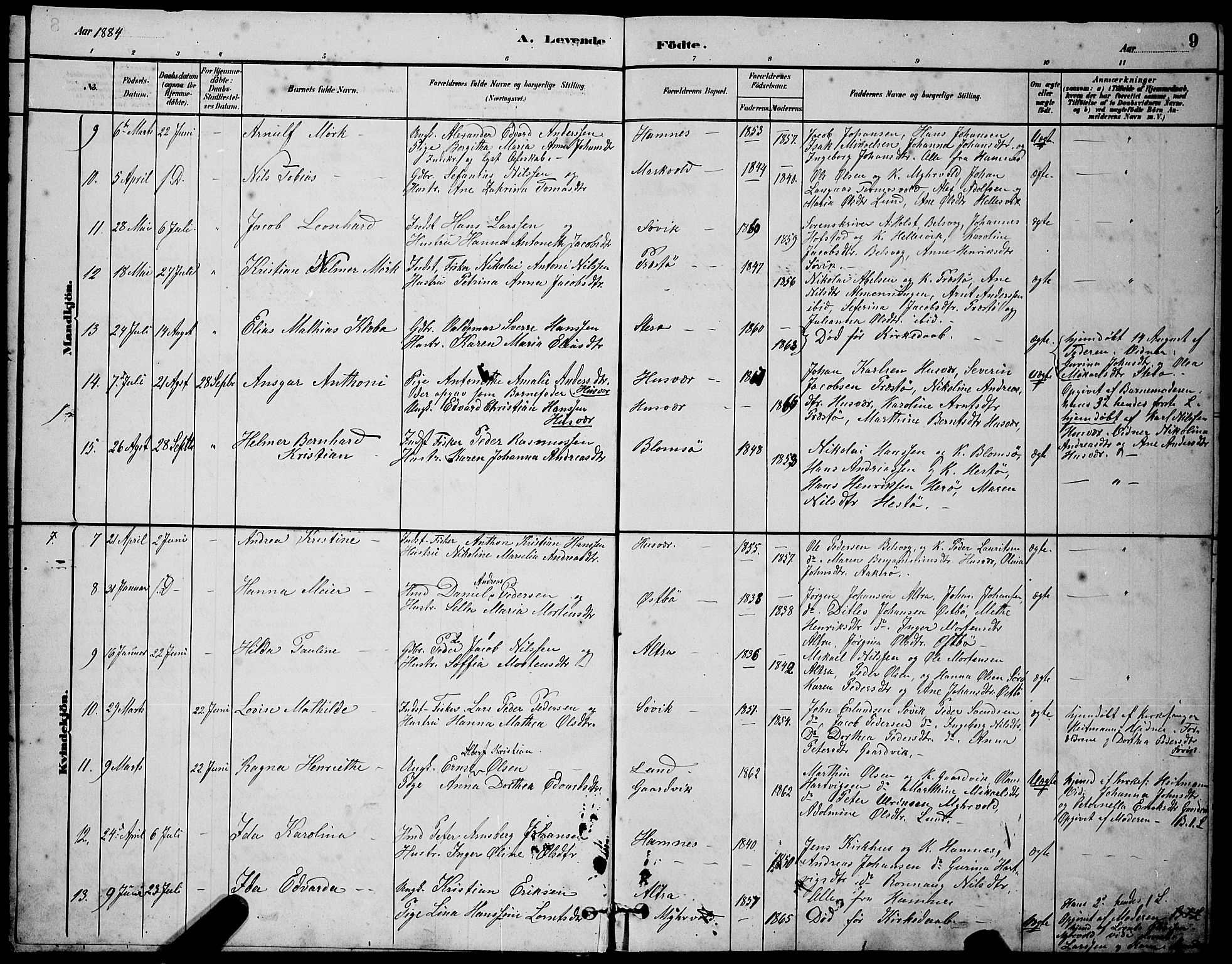 Ministerialprotokoller, klokkerbøker og fødselsregistre - Nordland, AV/SAT-A-1459/830/L0462: Parish register (copy) no. 830C04, 1882-1895, p. 9