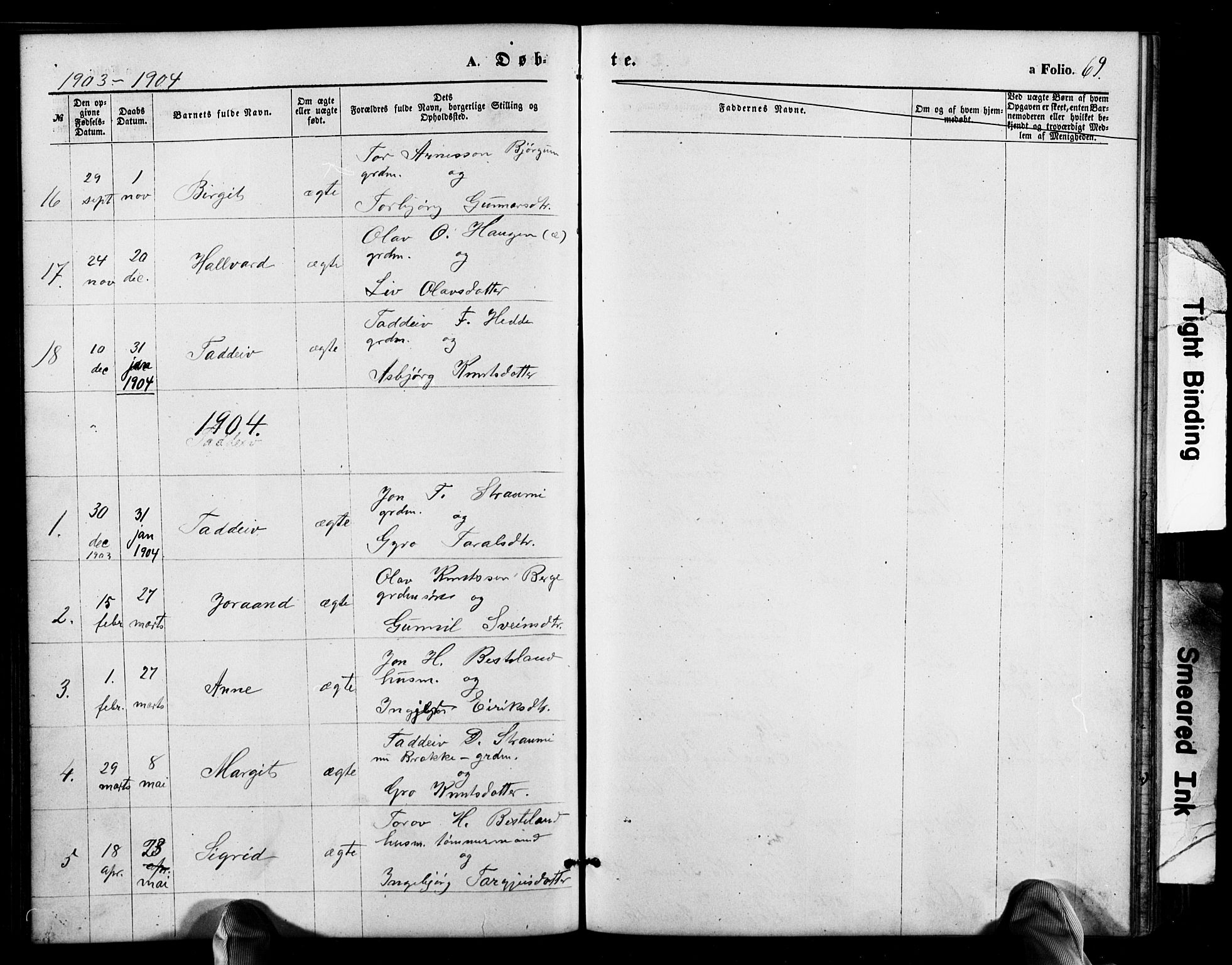 Valle sokneprestkontor, SAK/1111-0044/F/Fb/Fbb/L0002: Parish register (copy) no. B 2, 1875-1921, p. 69