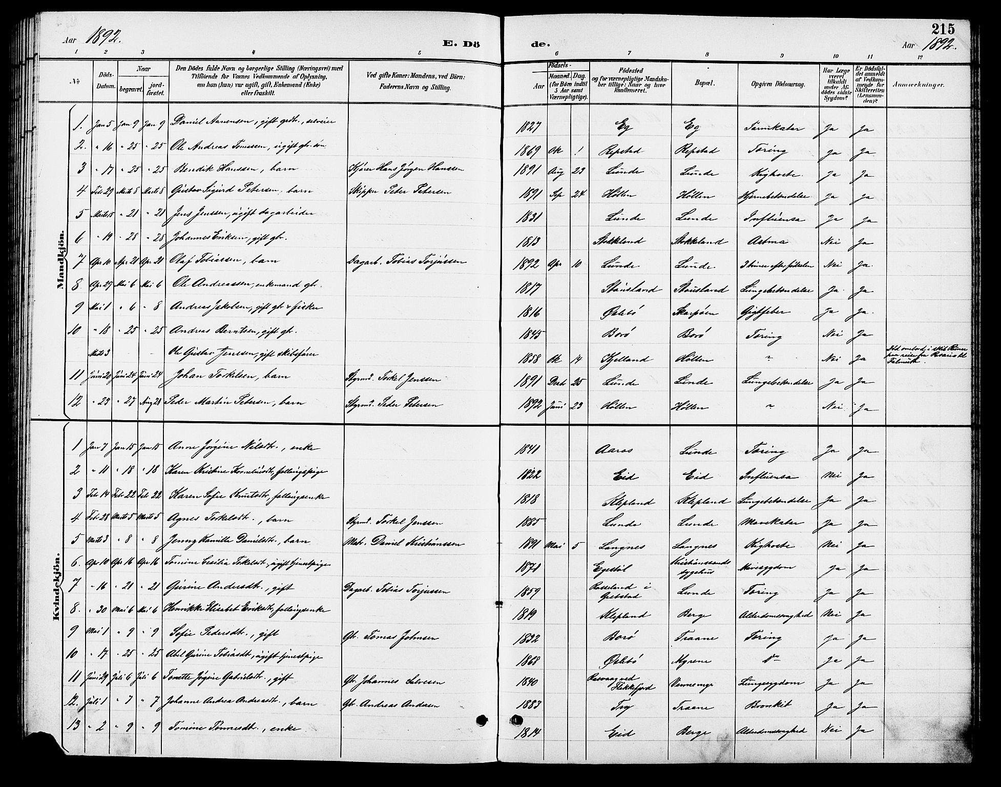 Søgne sokneprestkontor, SAK/1111-0037/F/Fb/Fbb/L0006: Parish register (copy) no. B 6, 1892-1911, p. 215