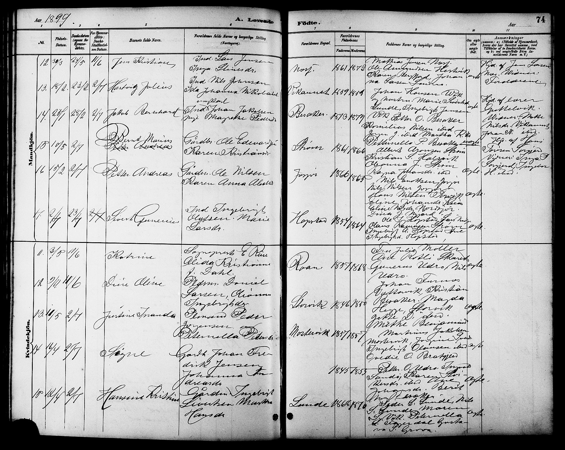 Ministerialprotokoller, klokkerbøker og fødselsregistre - Sør-Trøndelag, AV/SAT-A-1456/657/L0716: Parish register (copy) no. 657C03, 1889-1904, p. 74