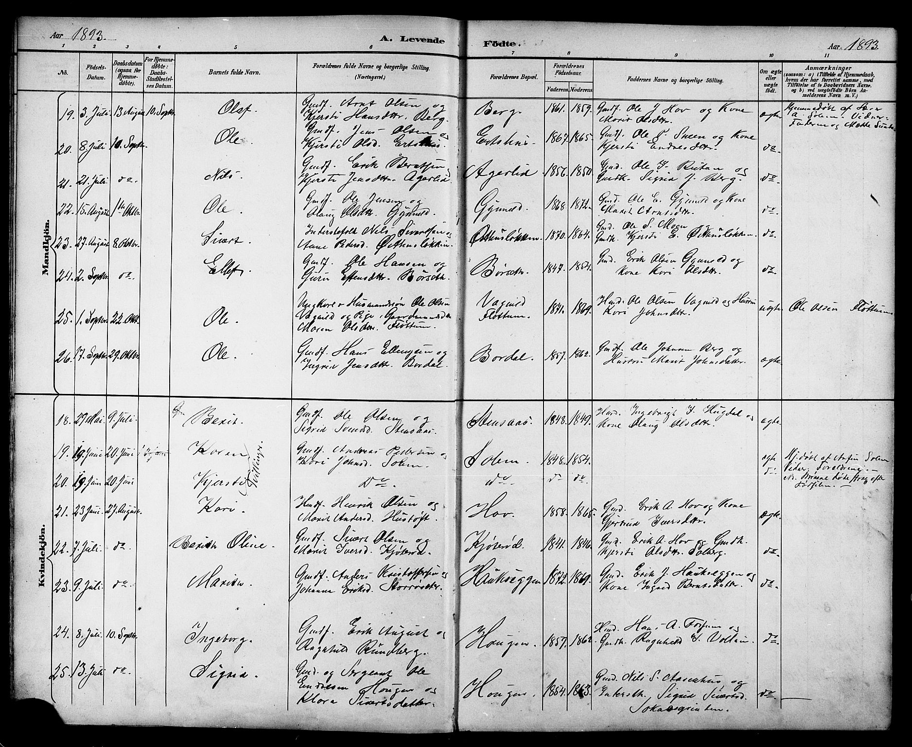 Ministerialprotokoller, klokkerbøker og fødselsregistre - Sør-Trøndelag, AV/SAT-A-1456/689/L1044: Parish register (copy) no. 689C03, 1893-1922