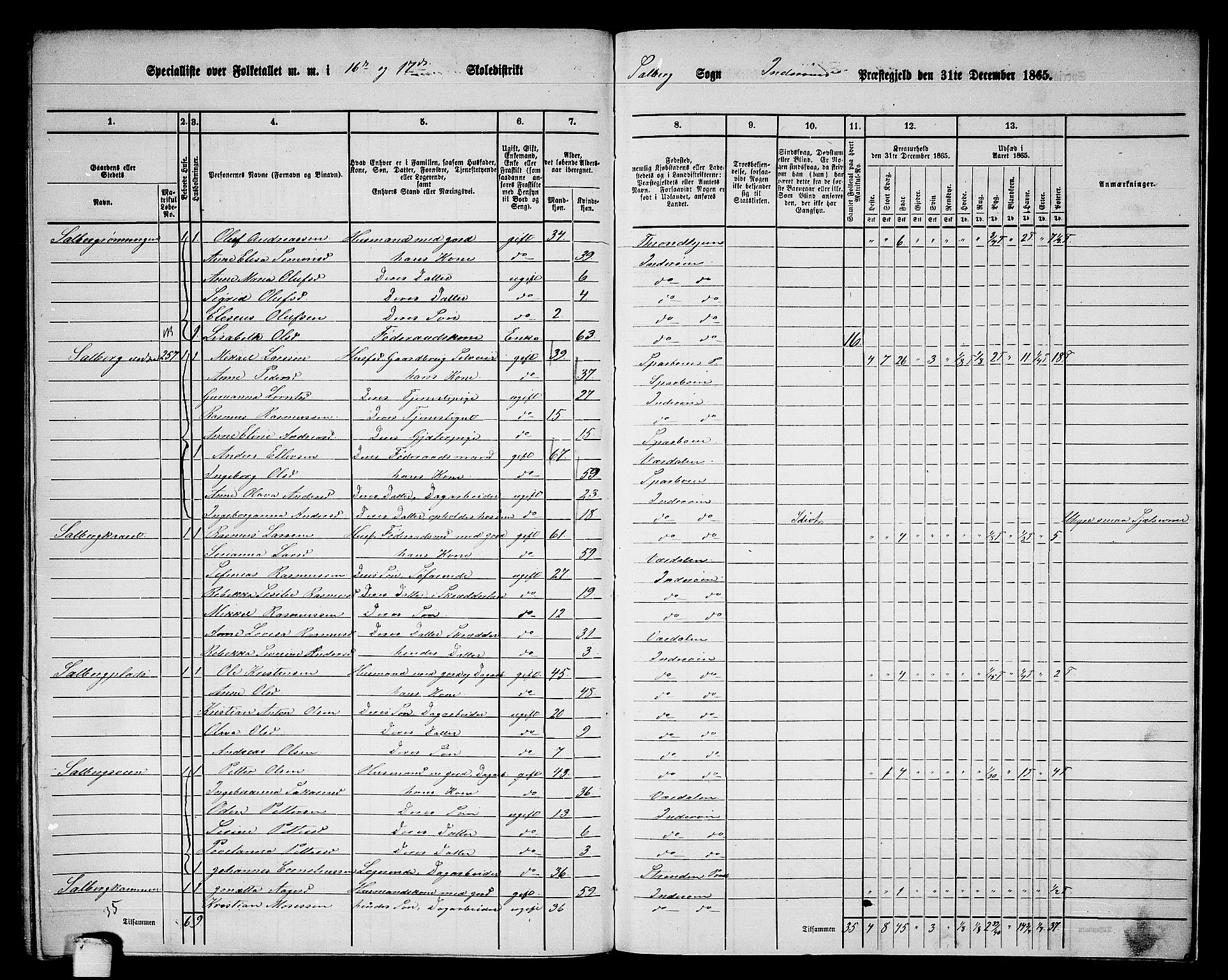 RA, 1865 census for Inderøy, 1865, p. 219