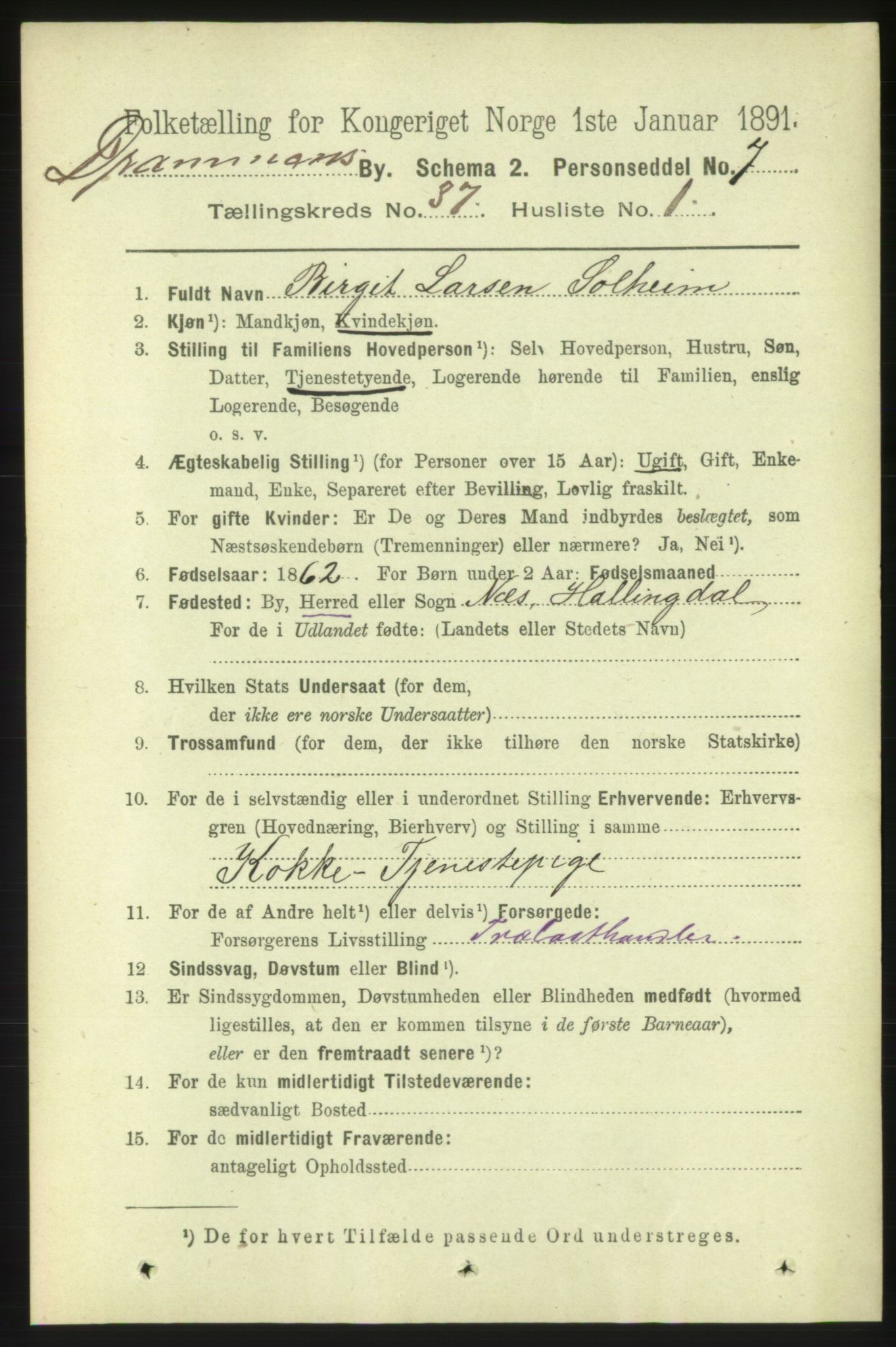 RA, 1891 census for 0602 Drammen, 1891, p. 22806