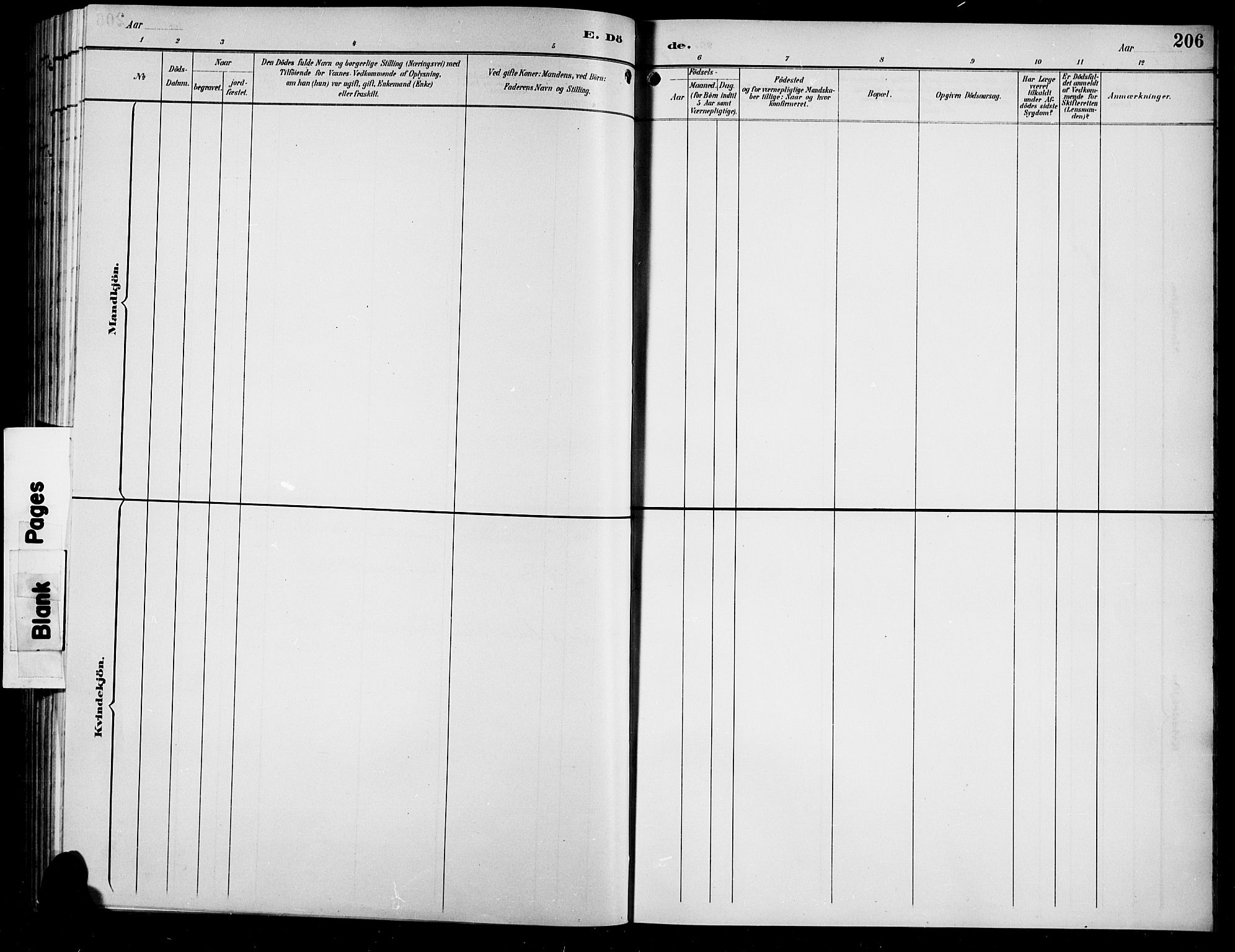 Sør-Aurdal prestekontor, SAH/PREST-128/H/Ha/Hab/L0009: Parish register (copy) no. 9, 1894-1924, p. 206