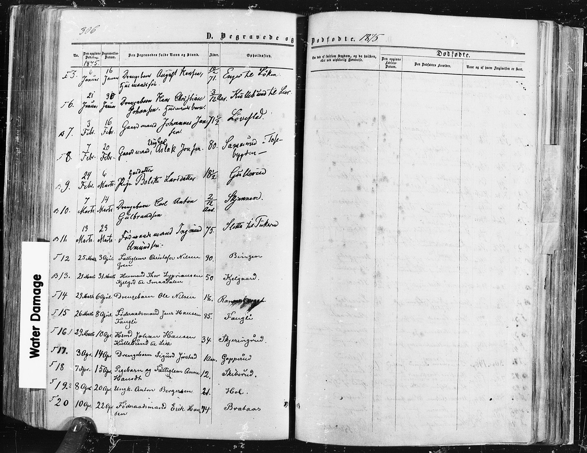 Trøgstad prestekontor Kirkebøker, SAO/A-10925/F/Fa/L0009: Parish register (official) no. I 9, 1865-1877, p. 306