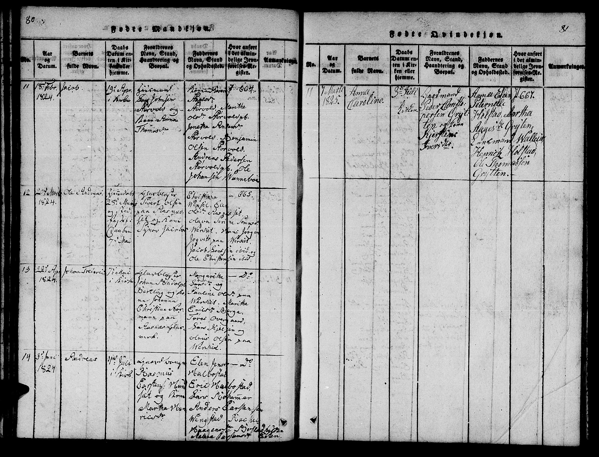 Ministerialprotokoller, klokkerbøker og fødselsregistre - Nord-Trøndelag, AV/SAT-A-1458/742/L0411: Parish register (copy) no. 742C02, 1817-1825, p. 80-81