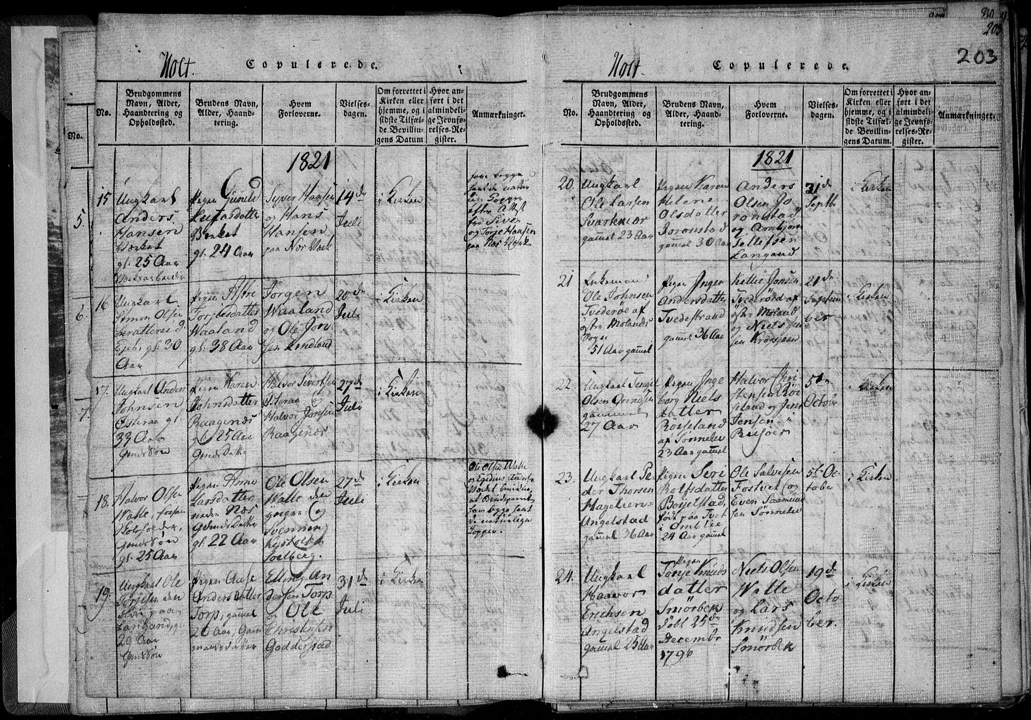 Holt sokneprestkontor, AV/SAK-1111-0021/F/Fa/L0005: Parish register (official) no. A 5, 1813-1821, p. 203