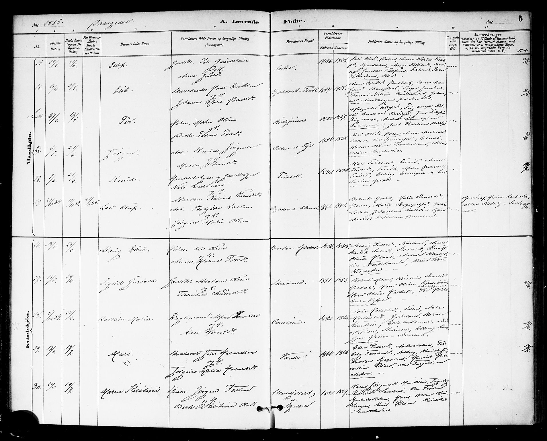 Drangedal kirkebøker, AV/SAKO-A-258/F/Fa/L0010: Parish register (official) no. 10 /1, 1885-1894, p. 5