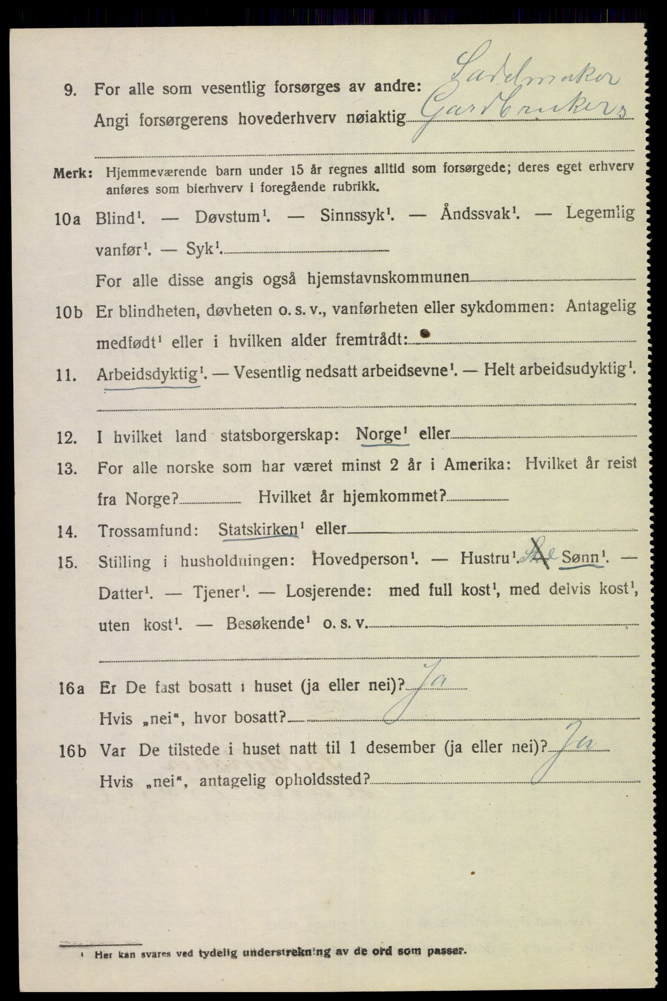 SAK, 1920 census for Sør-Audnedal, 1920, p. 3450