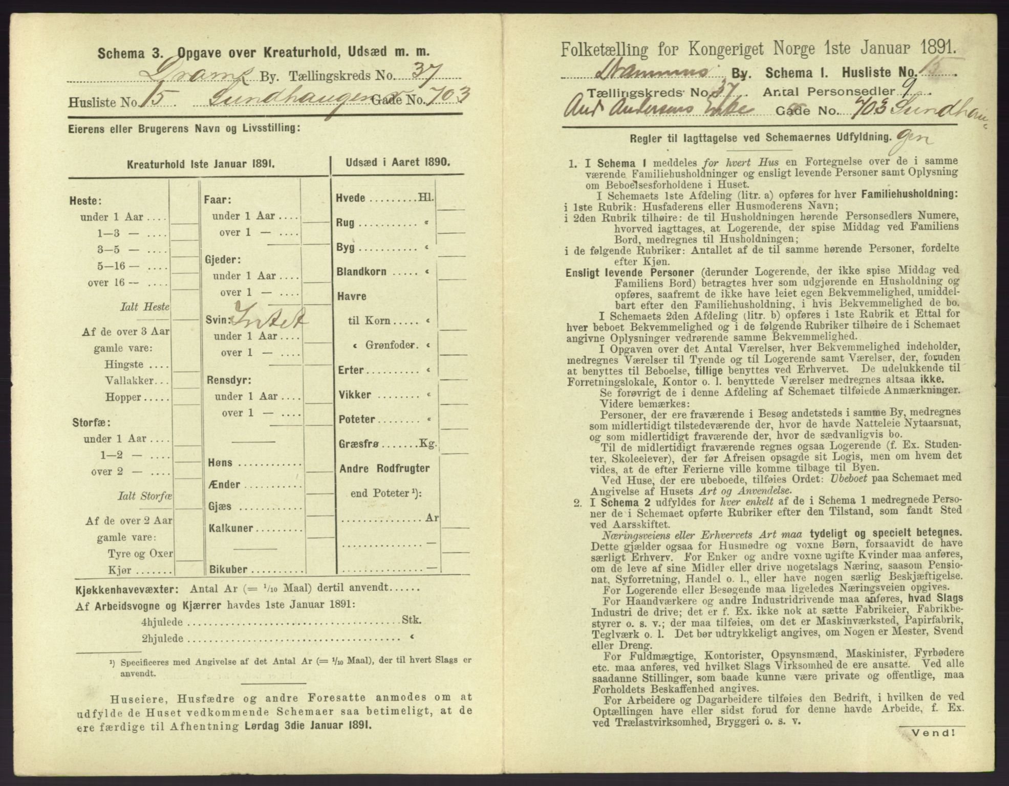 RA, 1891 census for 0602 Drammen, 1891, p. 3389