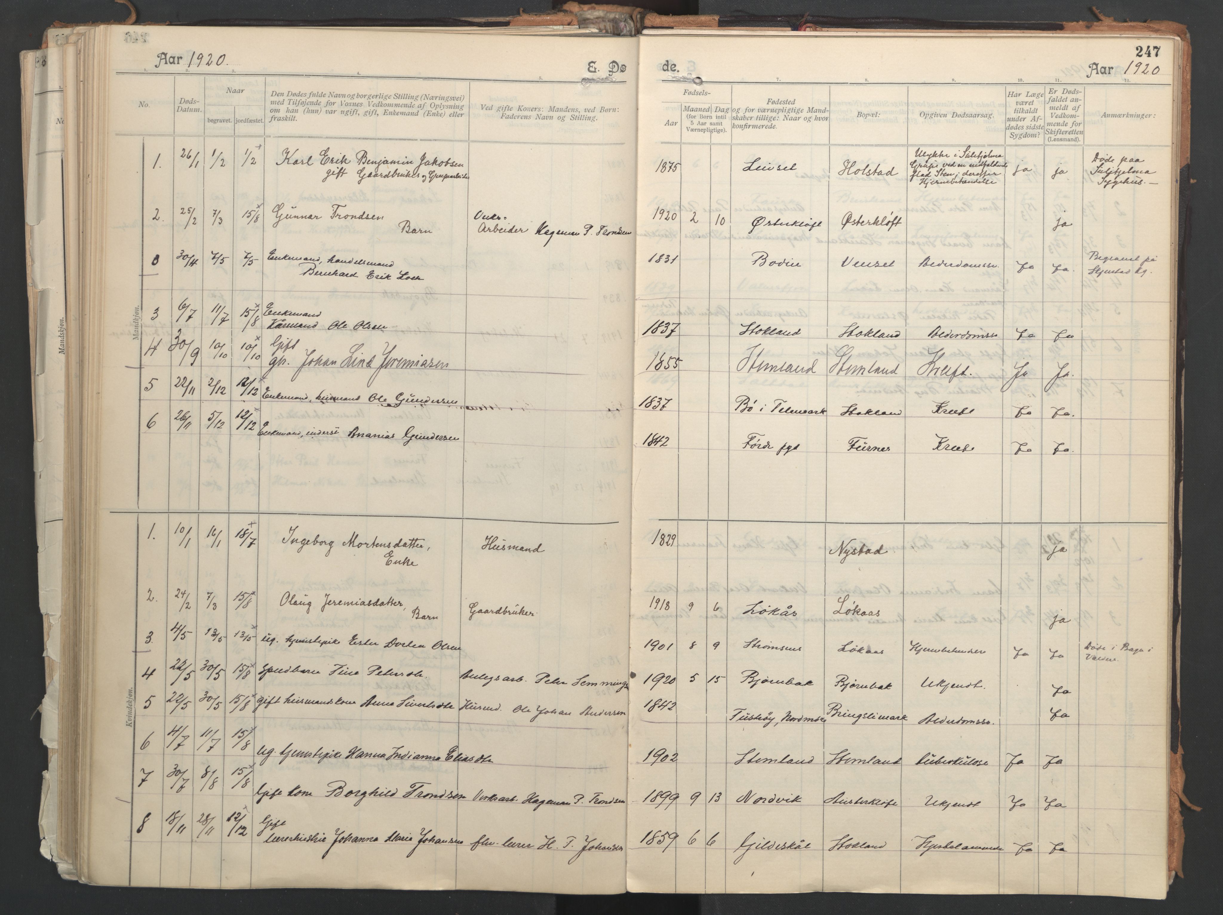 Ministerialprotokoller, klokkerbøker og fødselsregistre - Nordland, AV/SAT-A-1459/851/L0724: Parish register (official) no. 851A01, 1901-1922, p. 247