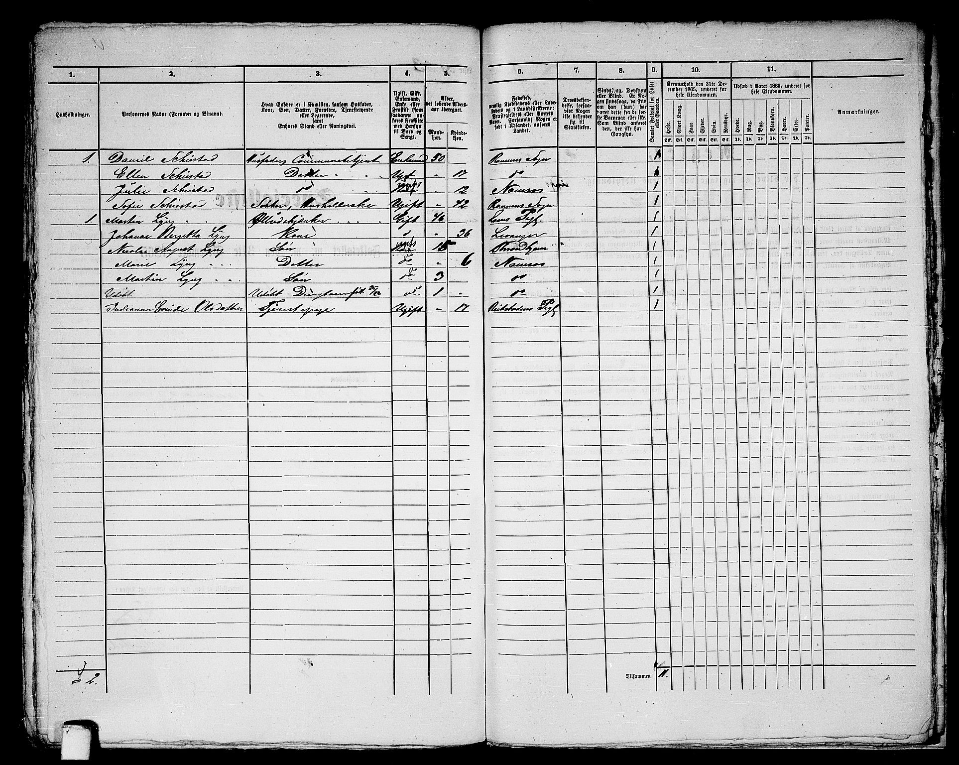 RA, 1865 census for Namsos/Namsos, 1865, p. 171