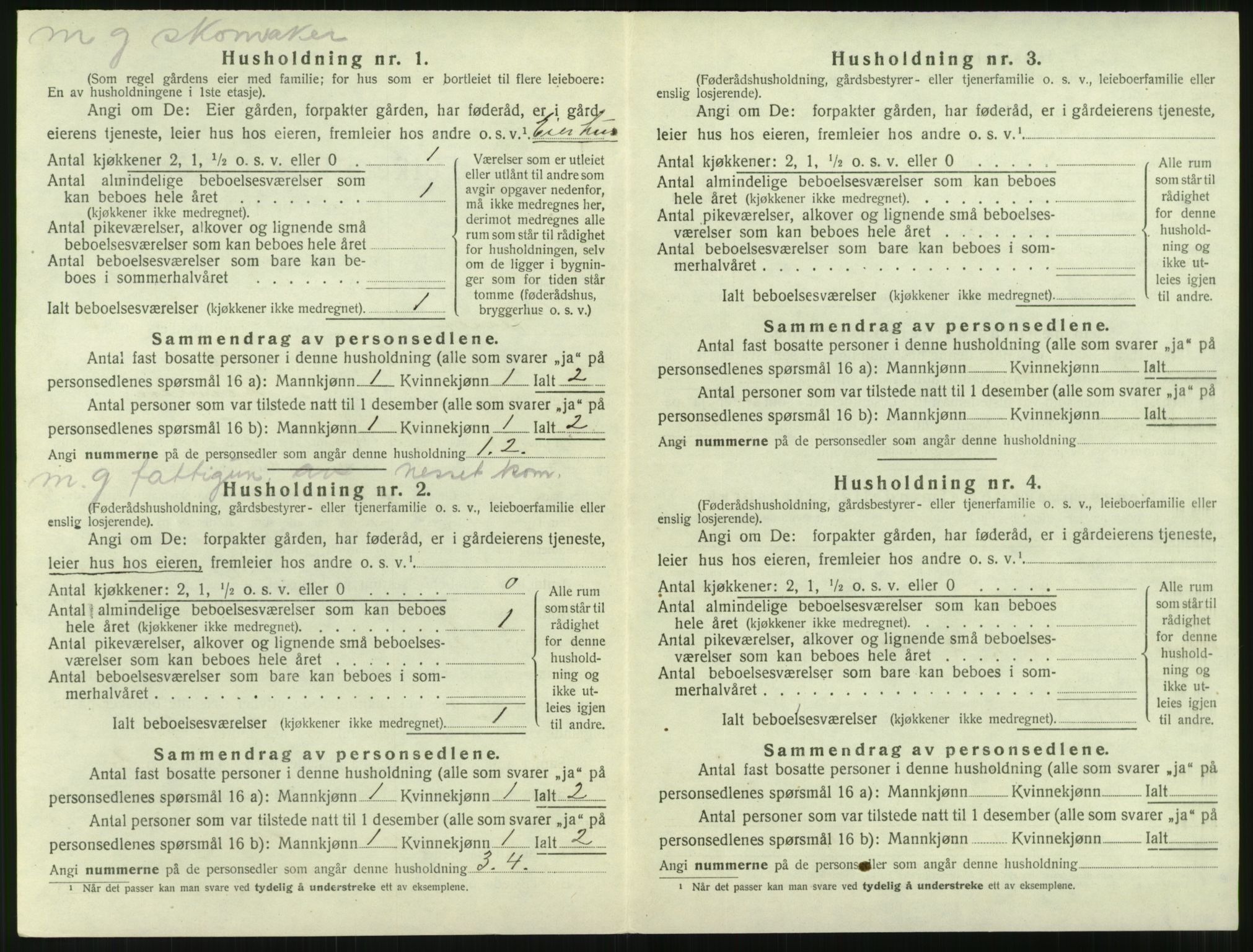 SAT, 1920 census for Nesset, 1920, p. 167
