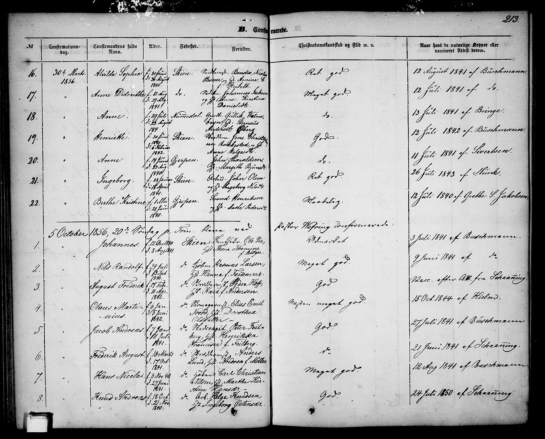 Skien kirkebøker, SAKO/A-302/G/Ga/L0004: Parish register (copy) no. 4, 1843-1867, p. 213