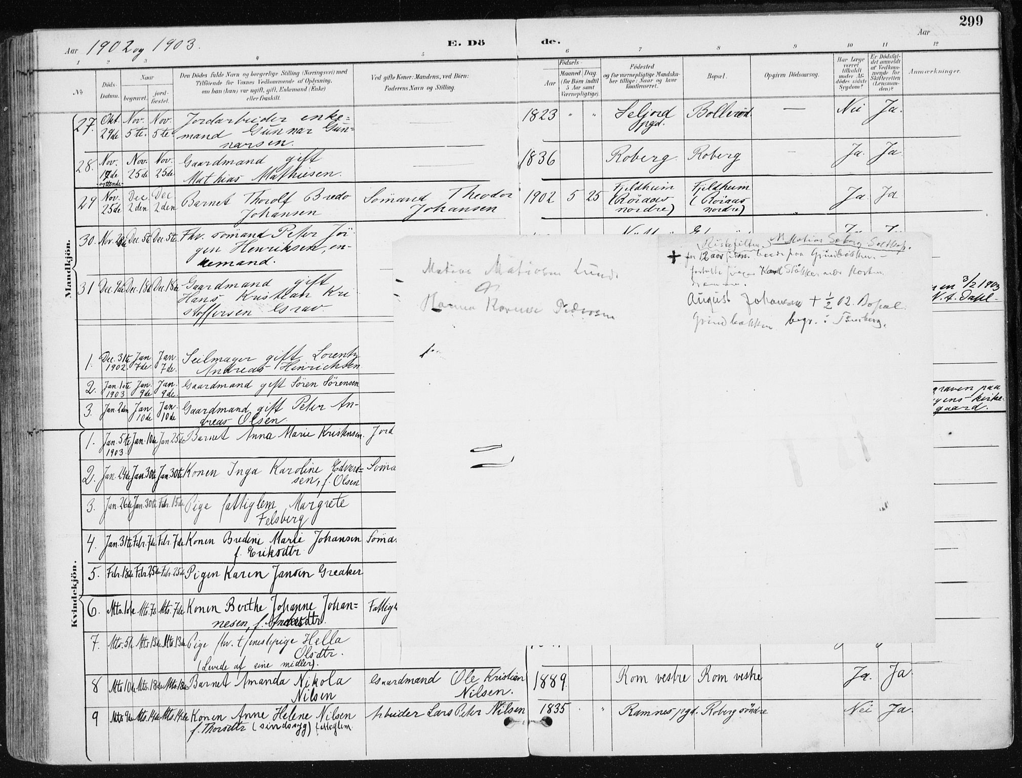 Sem kirkebøker, AV/SAKO-A-5/F/Fb/L0005: Parish register (official) no. II 5, 1892-1904, p. 299