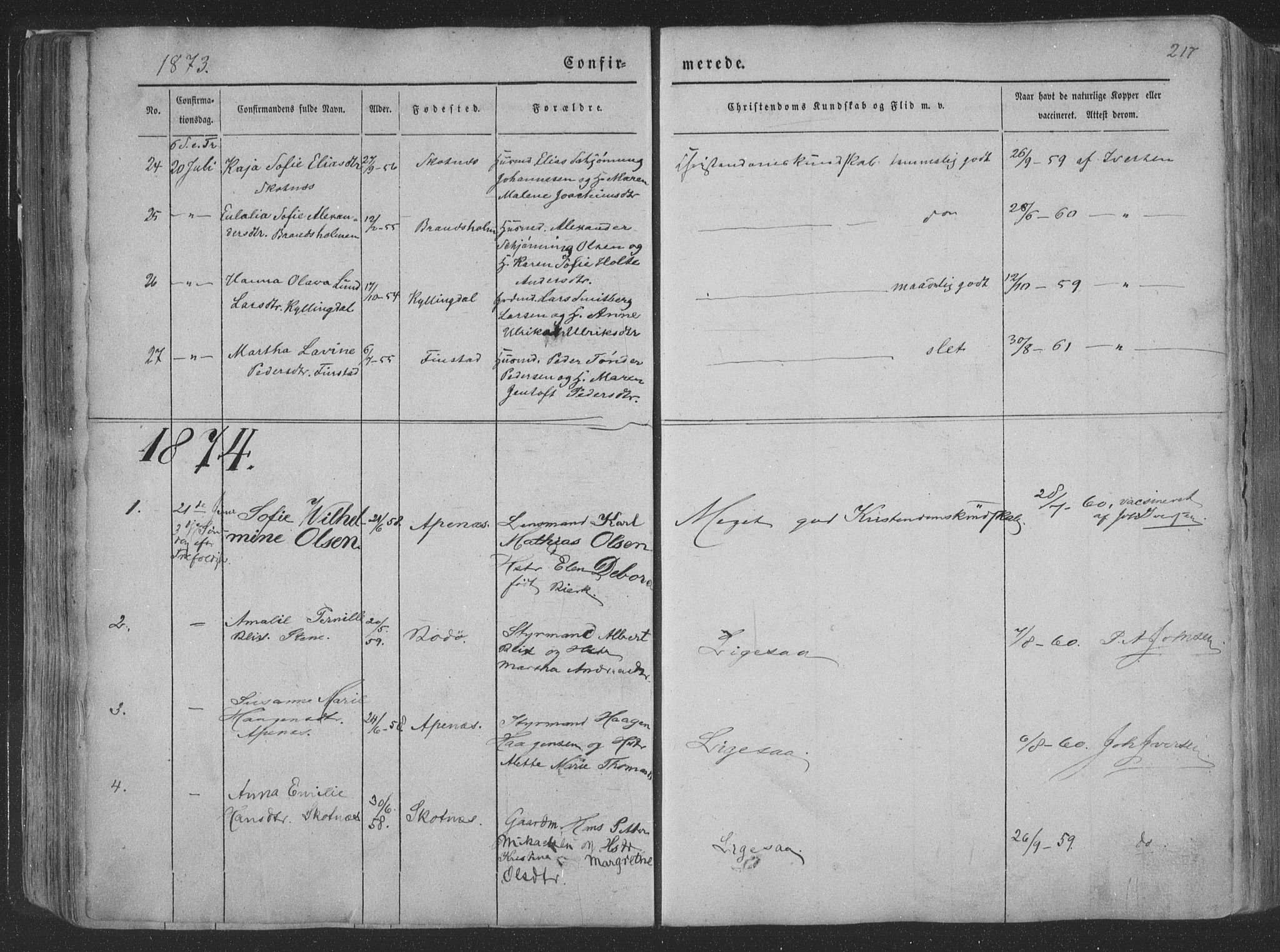 Ministerialprotokoller, klokkerbøker og fødselsregistre - Nordland, AV/SAT-A-1459/881/L1165: Parish register (copy) no. 881C02, 1854-1876, p. 217