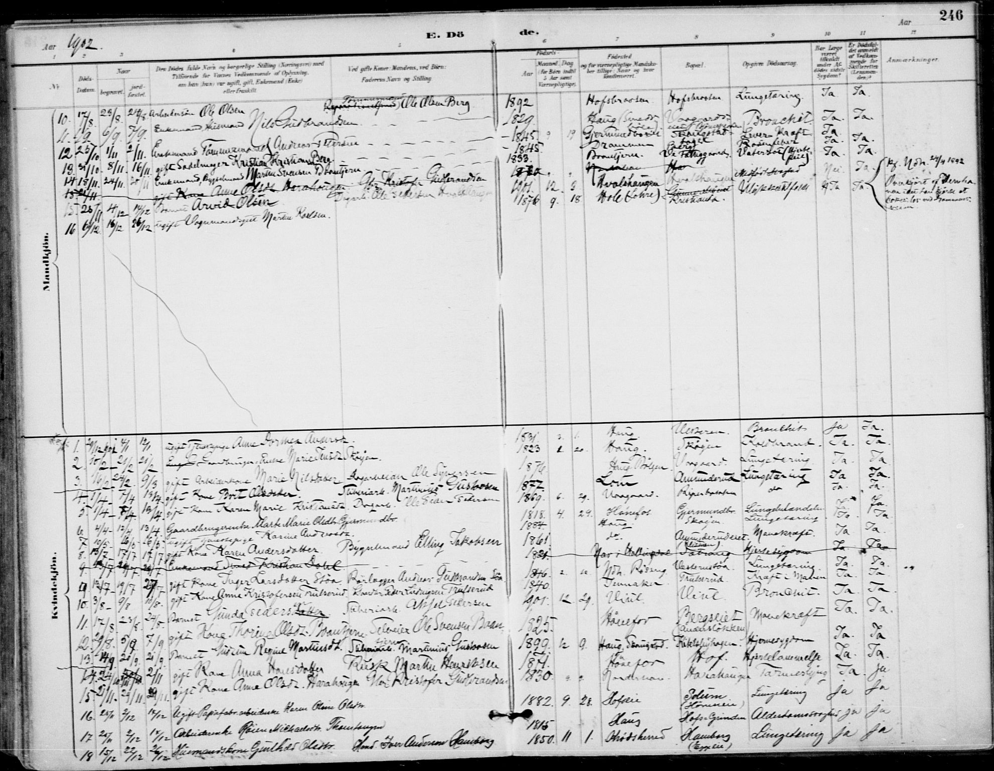 Haug kirkebøker, AV/SAKO-A-604/F/Fa/L0001: Parish register (official) no. 1, 1885-1917, p. 246