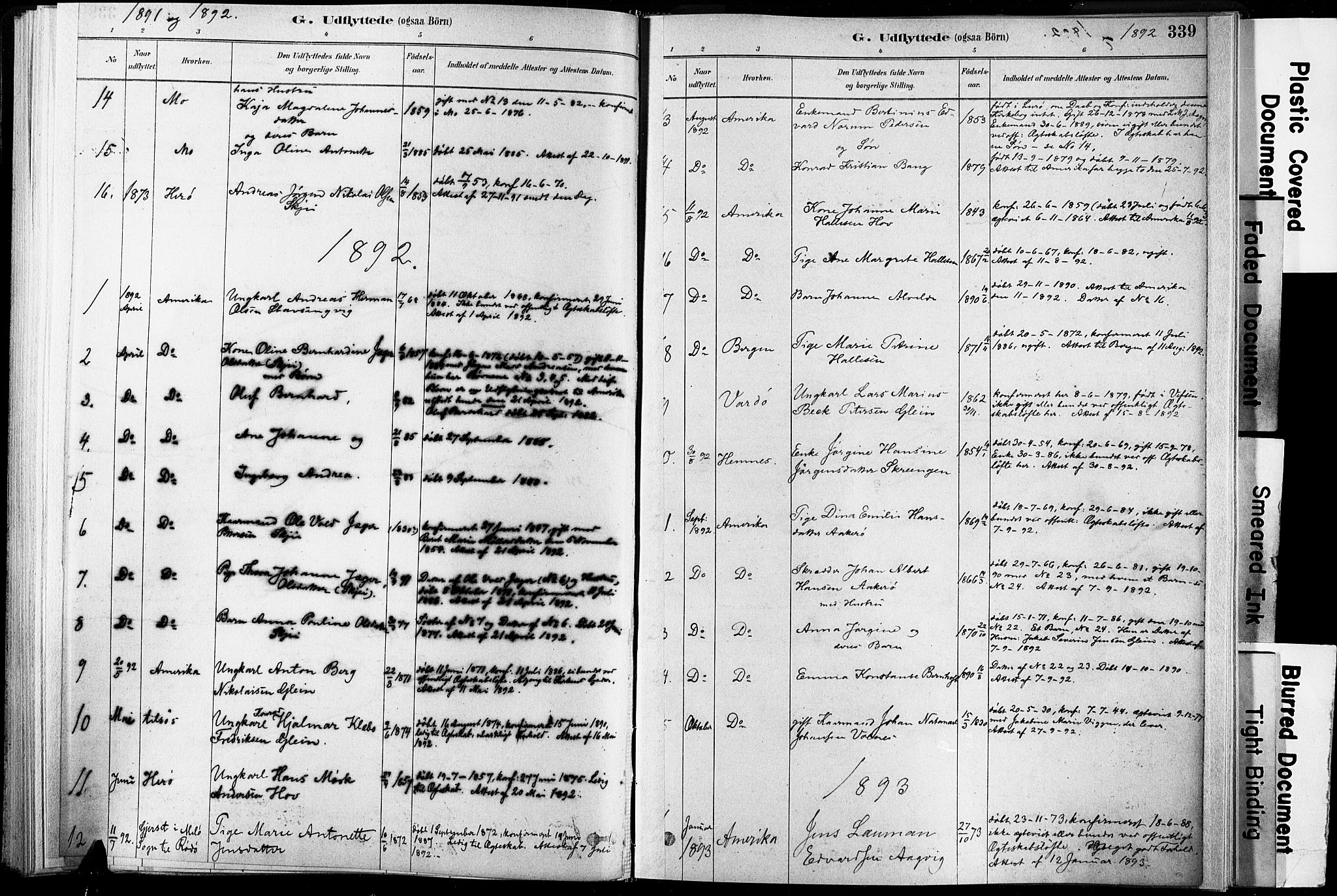 Ministerialprotokoller, klokkerbøker og fødselsregistre - Nordland, AV/SAT-A-1459/835/L0526: Parish register (official) no. 835A03II, 1881-1910, p. 339