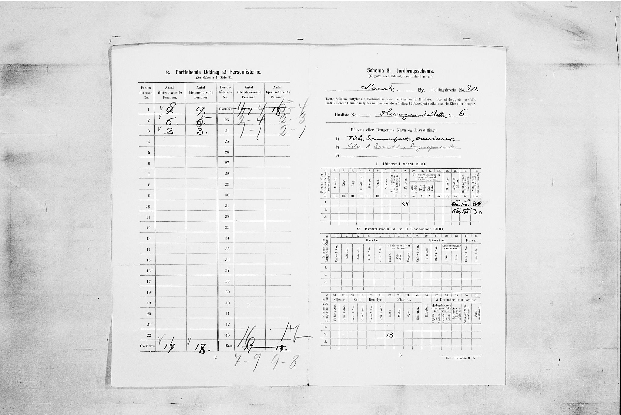 RA, 1900 census for Larvik, 1900, p. 6929