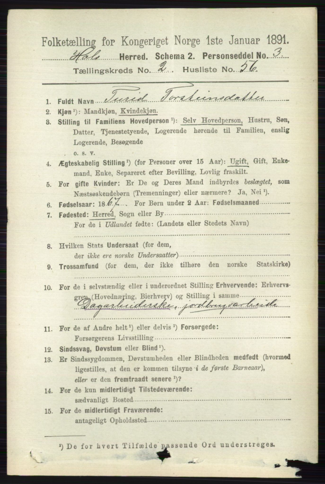 RA, 1891 census for 0620 Hol, 1891, p. 654