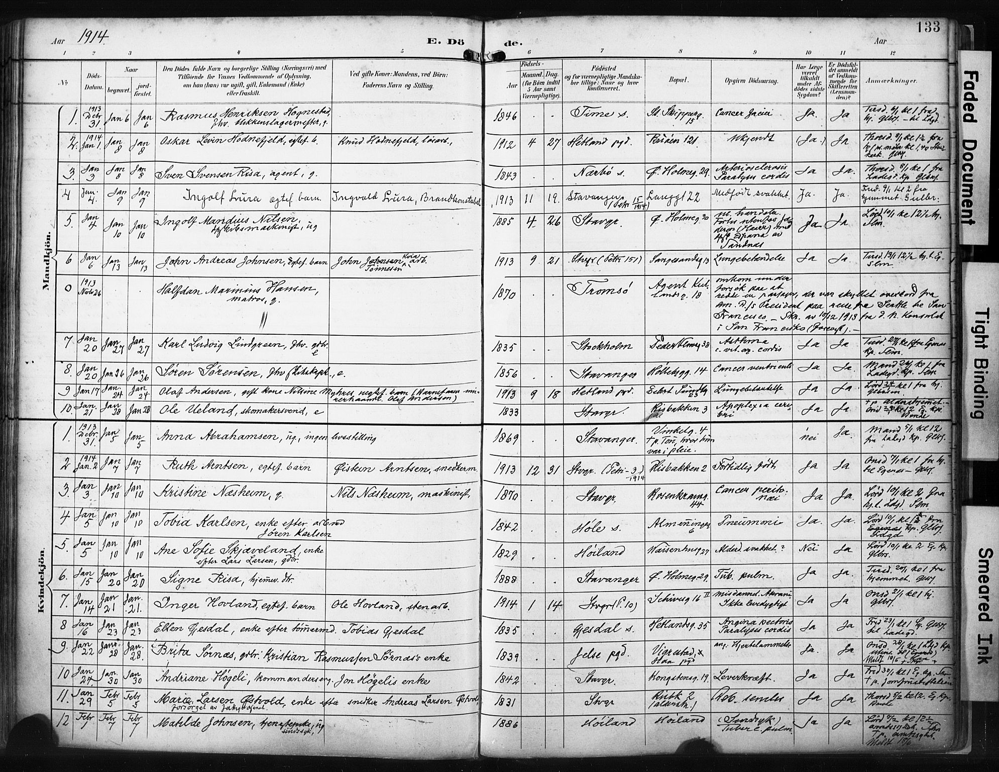 St. Petri sokneprestkontor, SAST/A-101813/001/30/30BA/L0022: Parish register (official) no. A 22, 1895-1919, p. 133