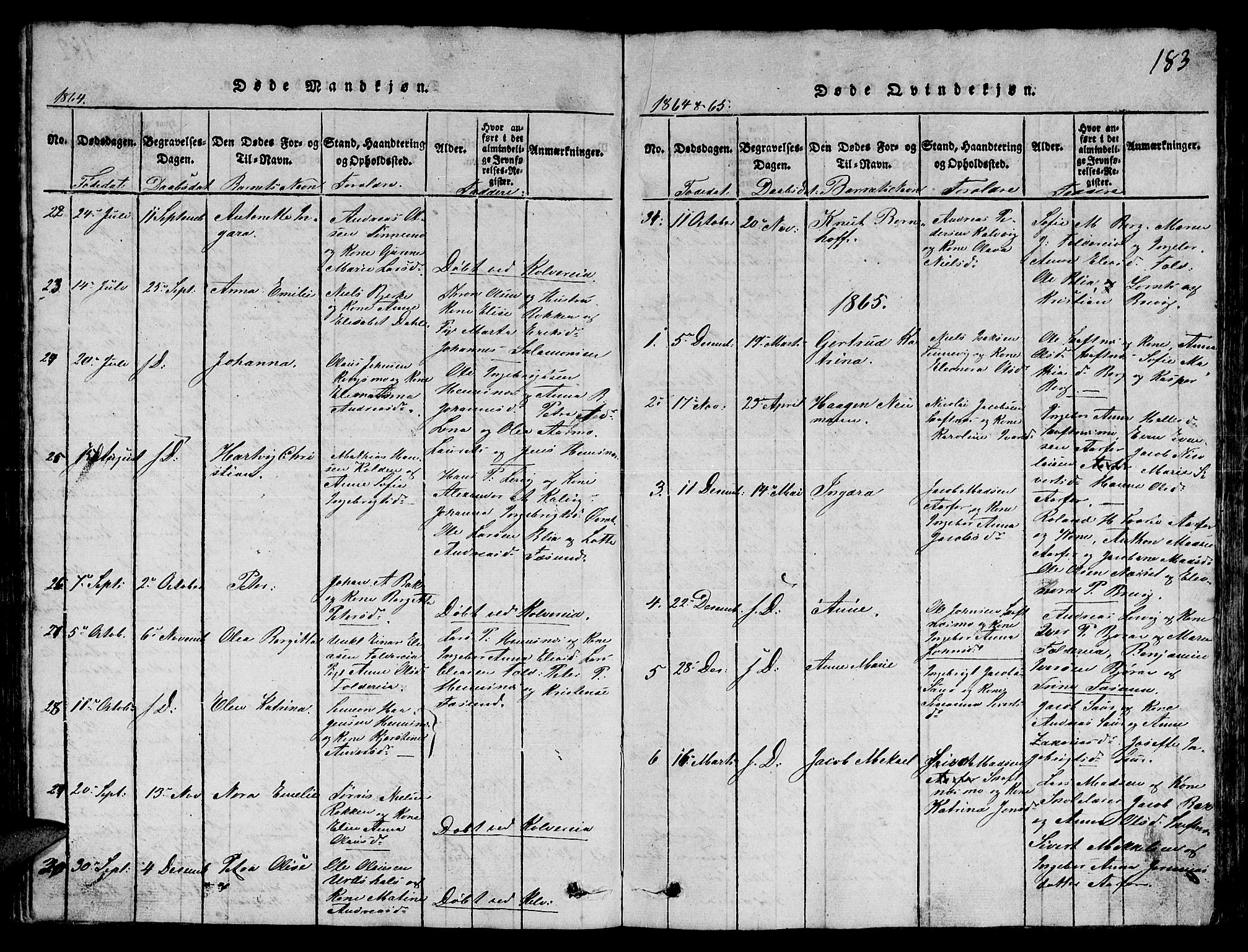 Ministerialprotokoller, klokkerbøker og fødselsregistre - Nord-Trøndelag, SAT/A-1458/780/L0648: Parish register (copy) no. 780C01 /3, 1815-1877, p. 183