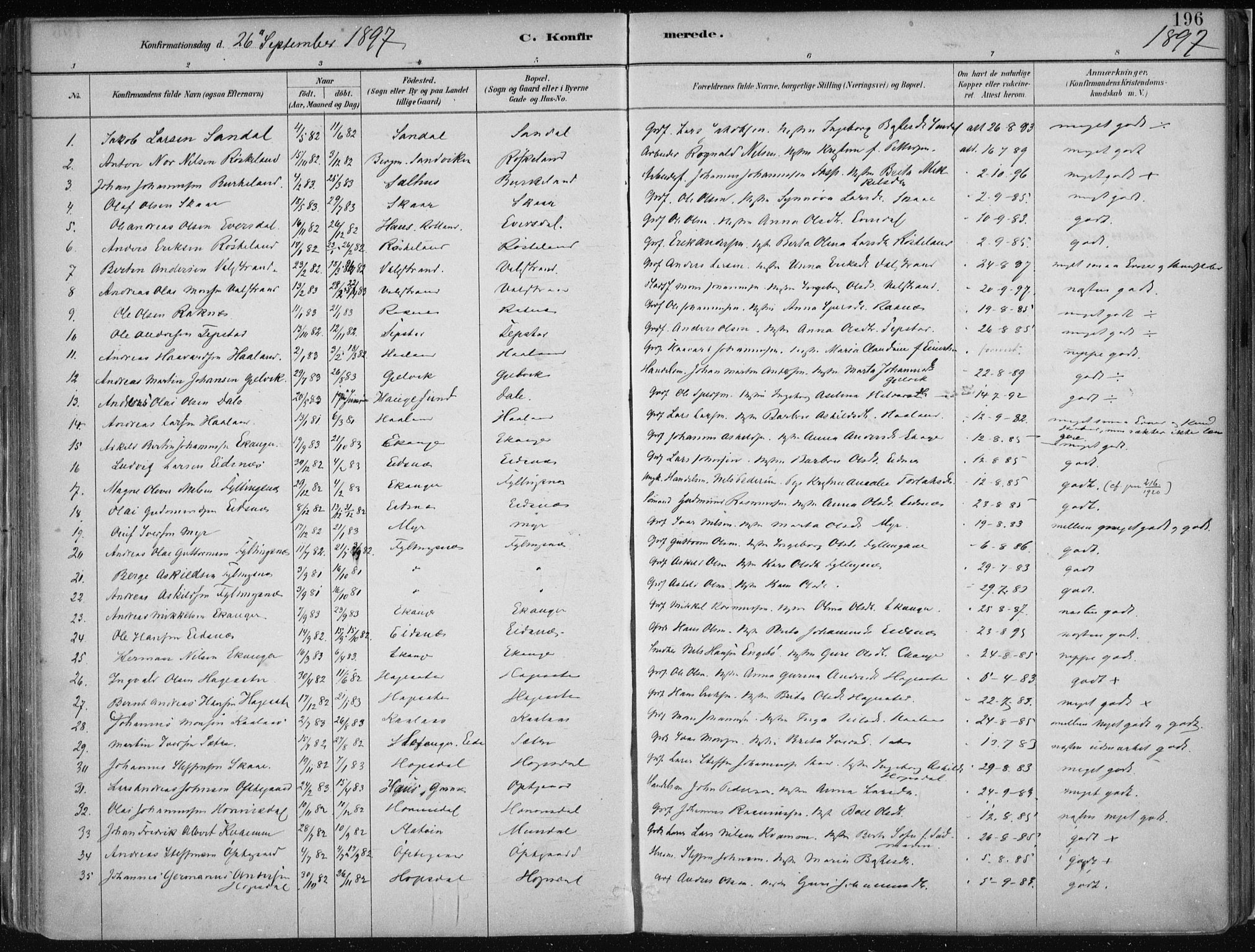 Hamre sokneprestembete, AV/SAB-A-75501/H/Ha/Haa/Haab/L0001: Parish register (official) no. B  1, 1882-1905, p. 196