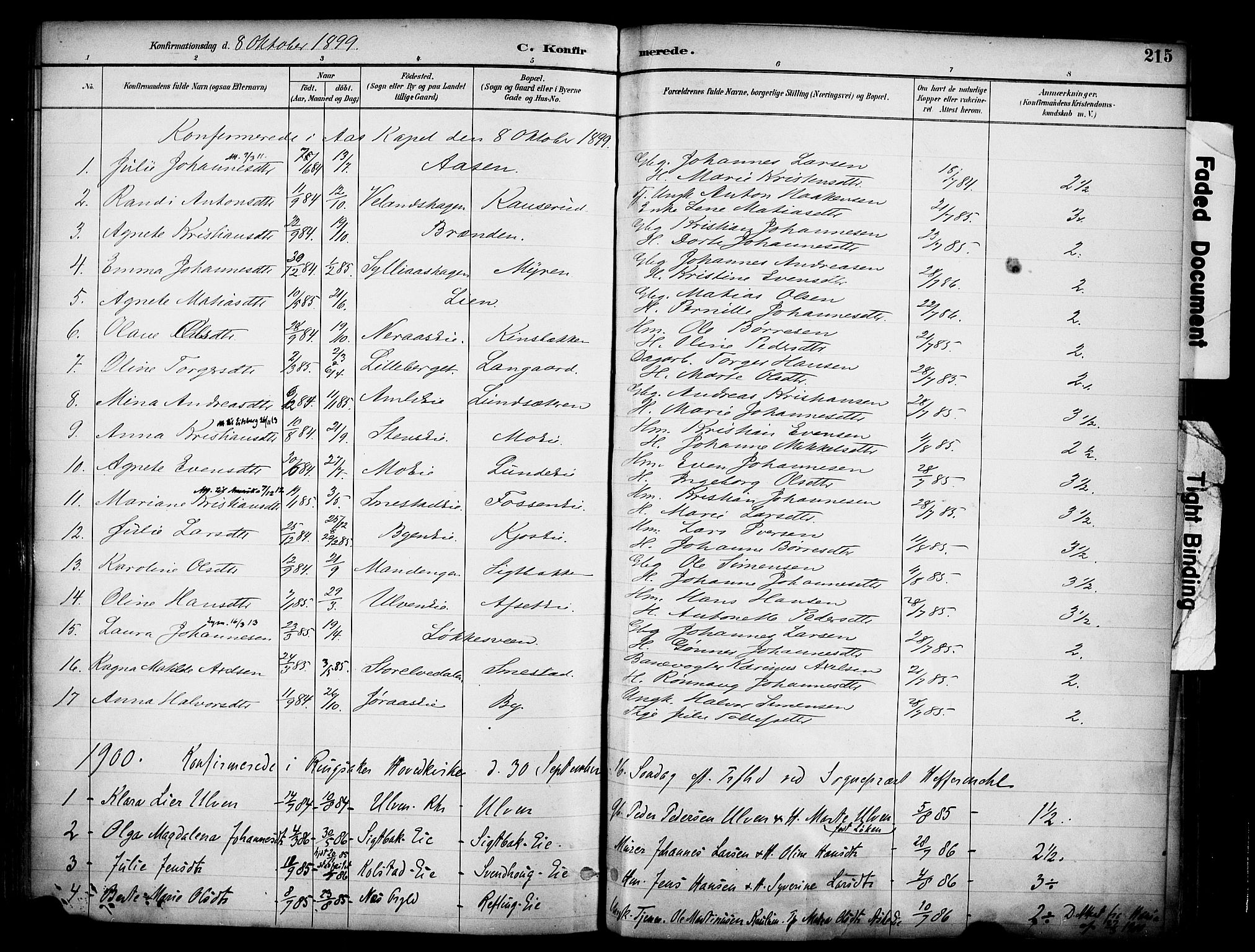 Ringsaker prestekontor, SAH/PREST-014/K/Ka/L0017: Parish register (official) no. 17, 1891-1902, p. 215