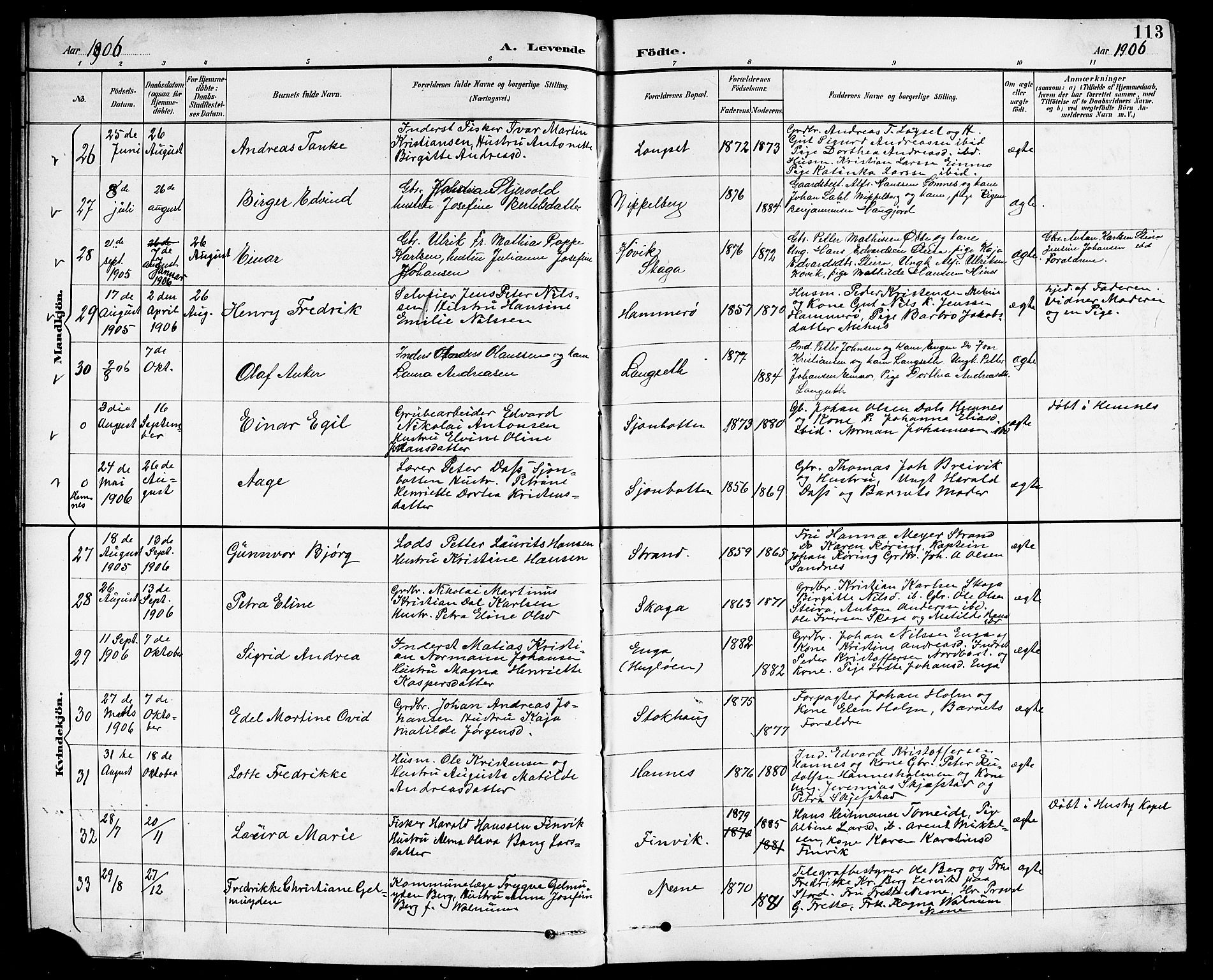 Ministerialprotokoller, klokkerbøker og fødselsregistre - Nordland, AV/SAT-A-1459/838/L0559: Parish register (copy) no. 838C06, 1893-1910, p. 113