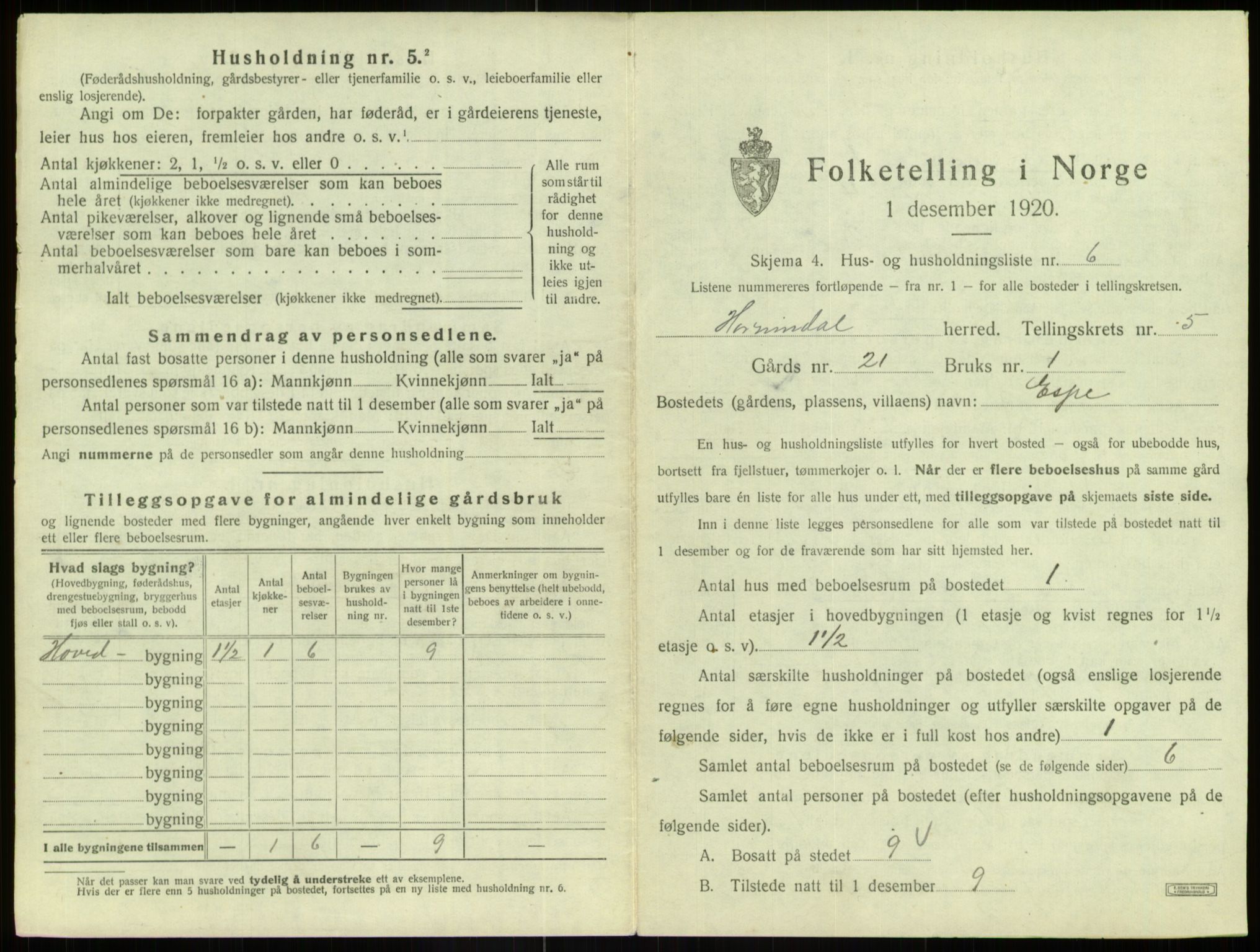 SAB, 1920 census for Hornindal, 1920, p. 317