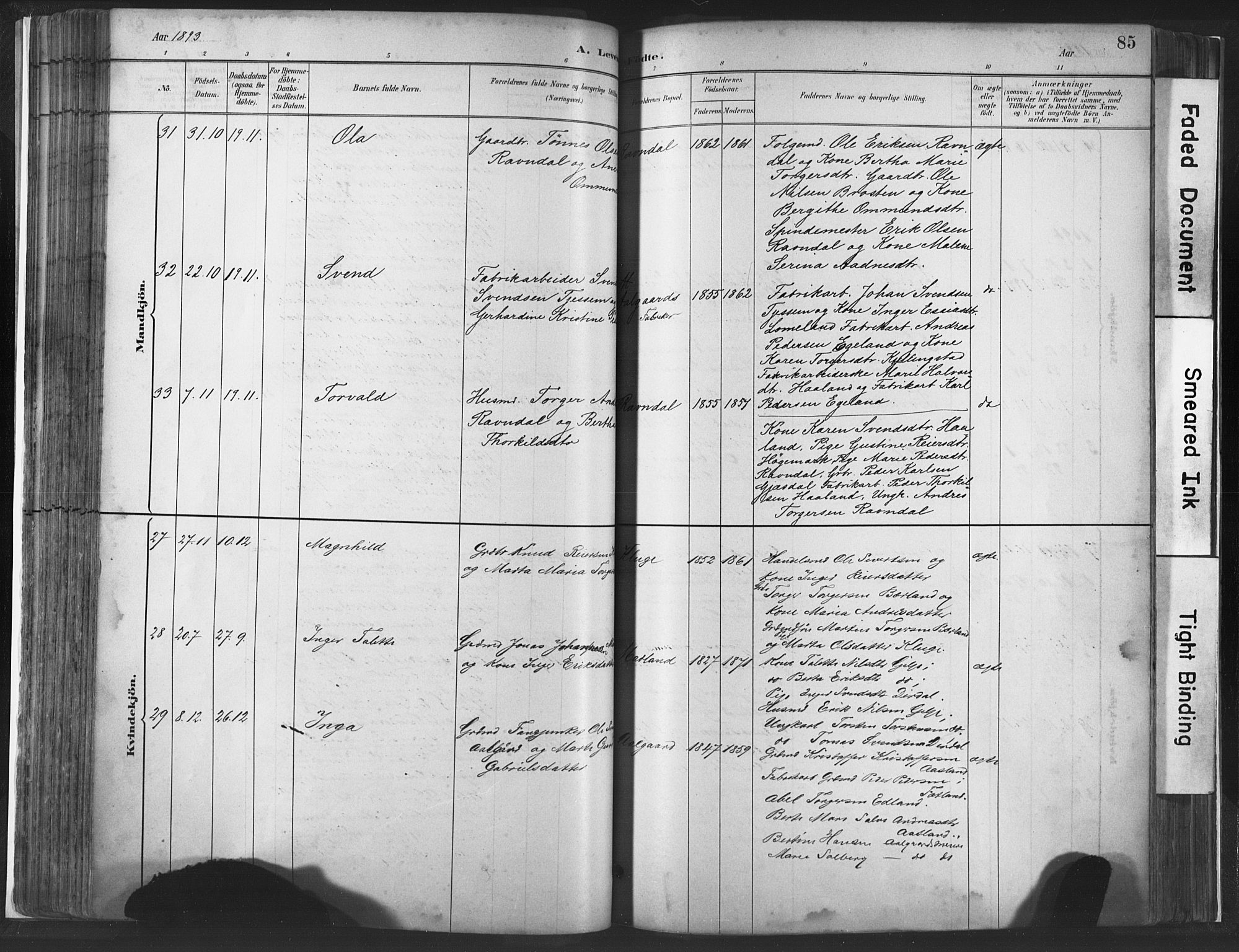 Lye sokneprestkontor, AV/SAST-A-101794/001/30BA/L0010: Parish register (official) no. A 10, 1881-1896, p. 85